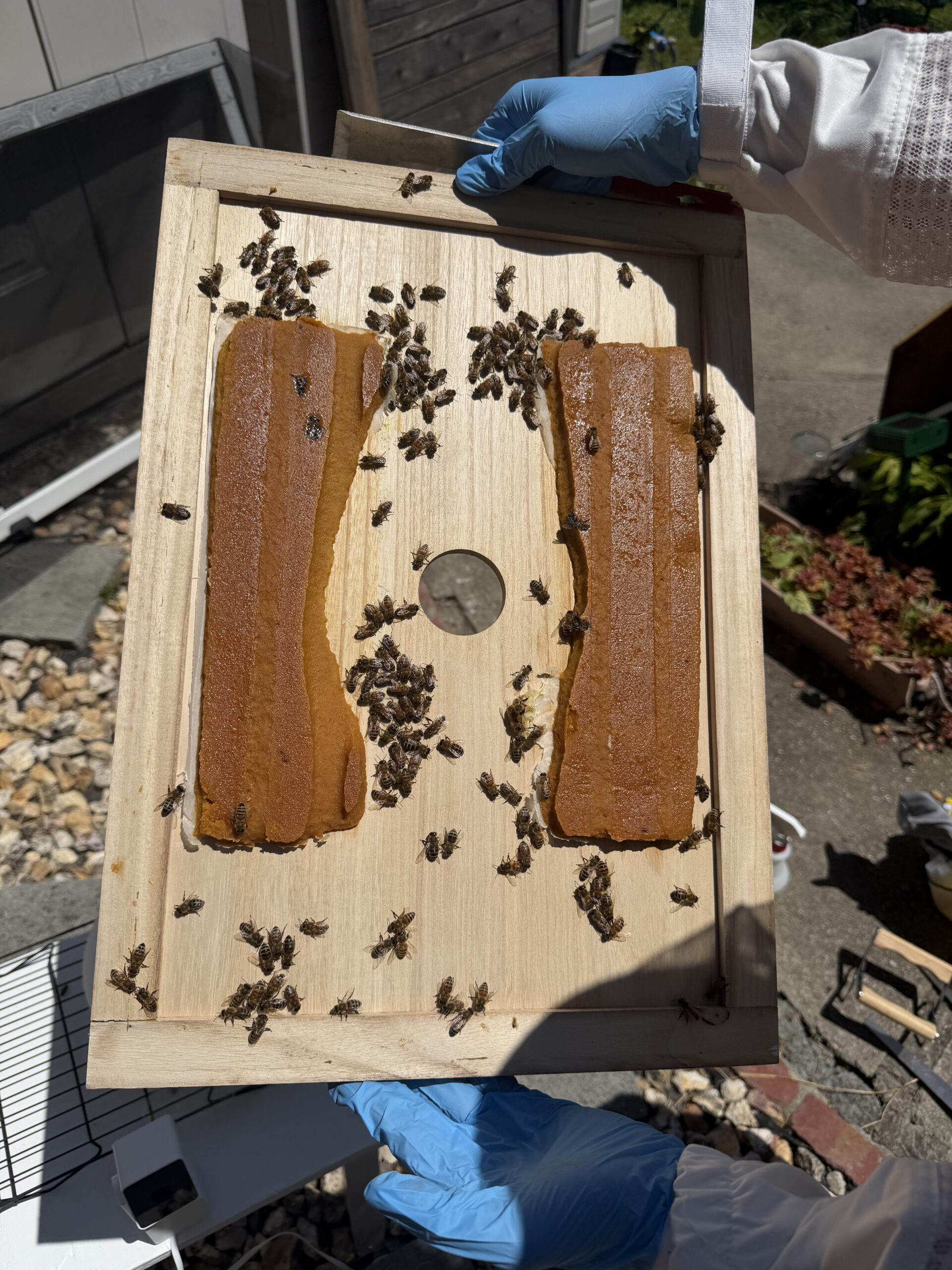 May 14 inspection frame 2