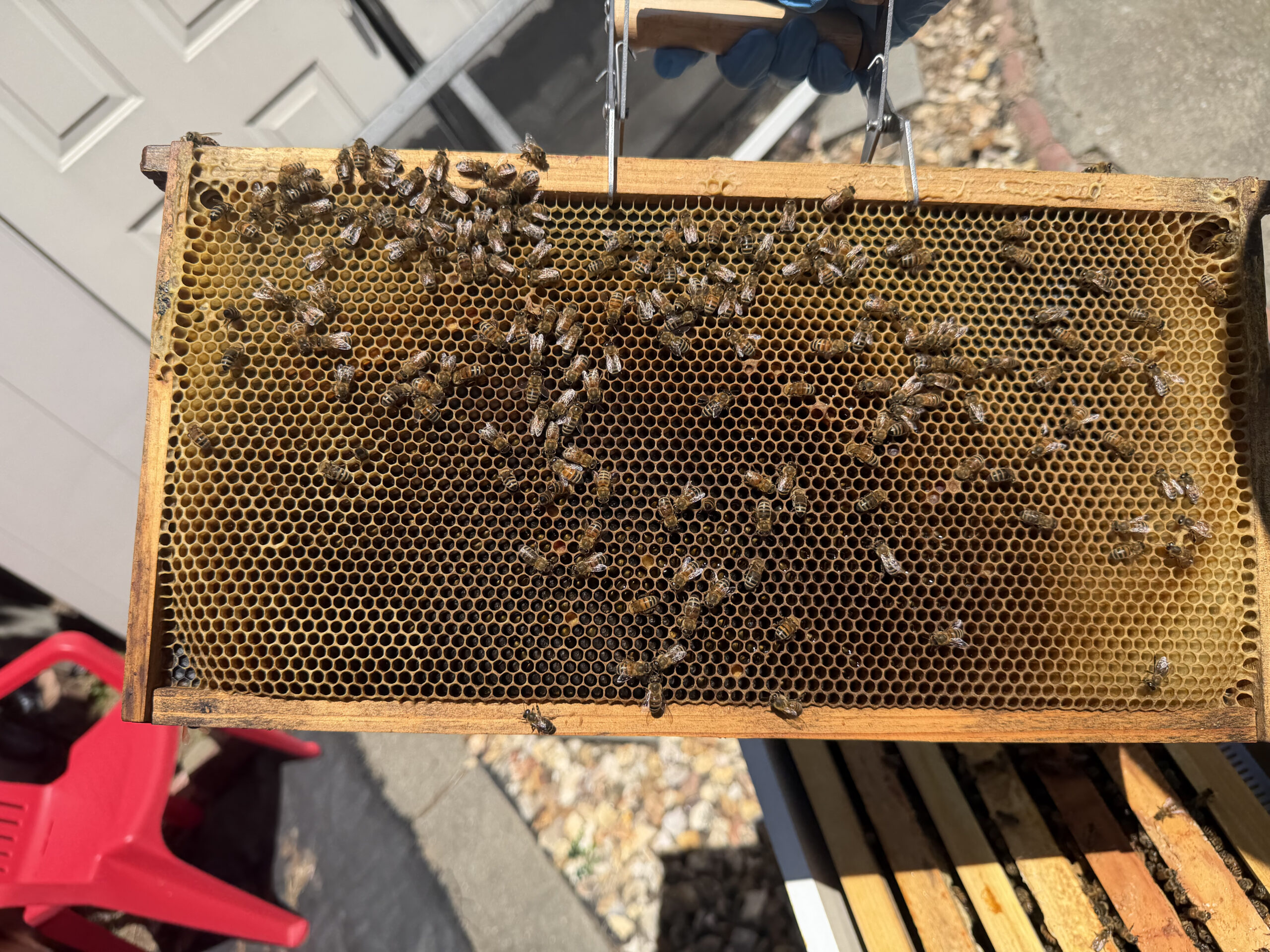 May 14 inspection frame 4