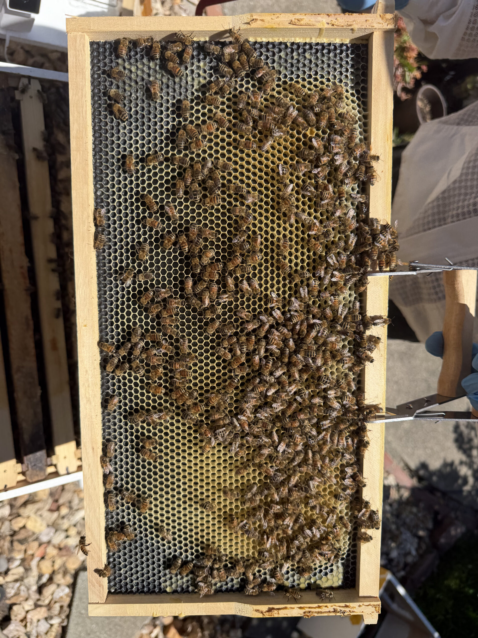 May 14 inspection frame 6