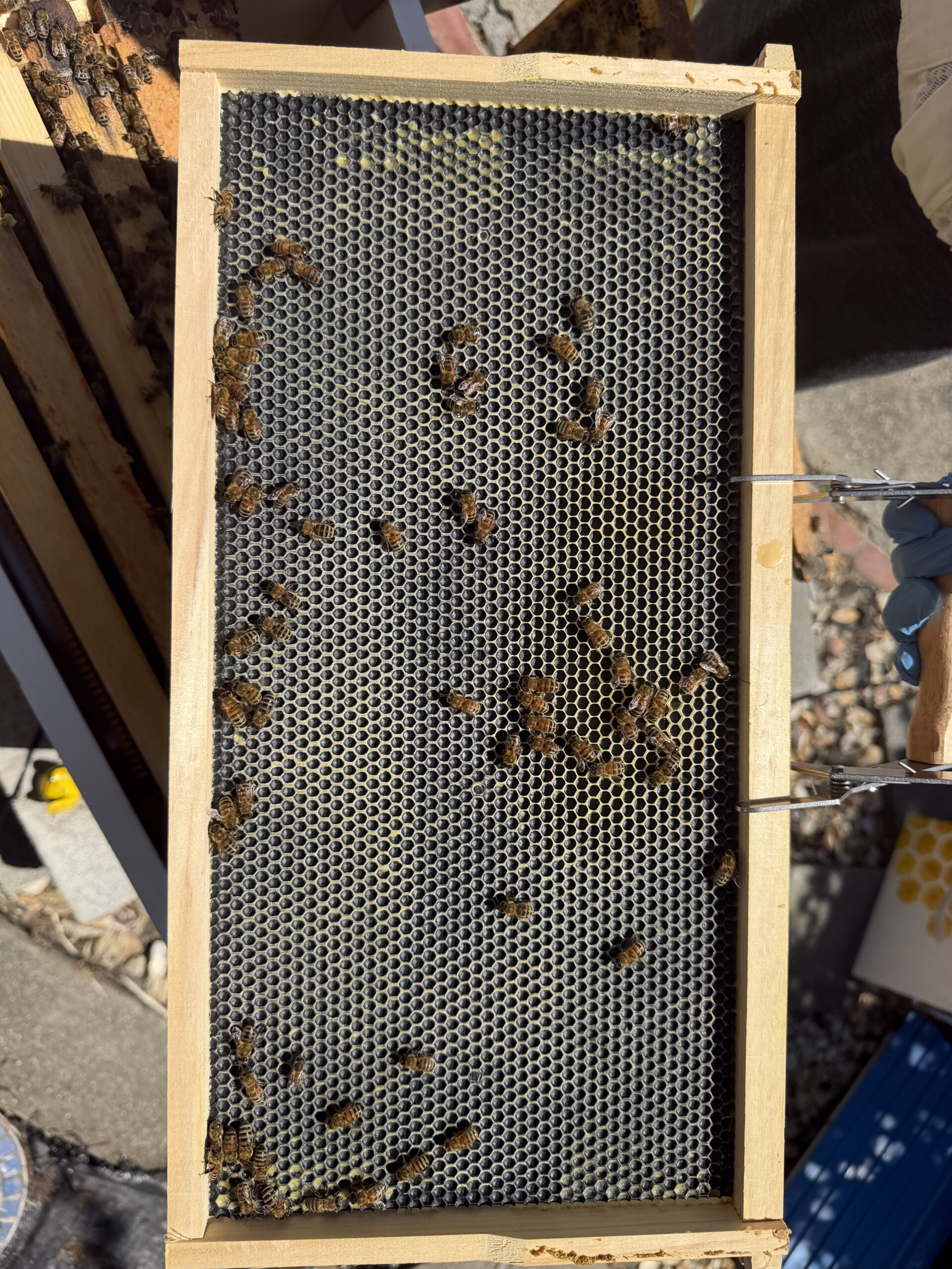 May 14 inspection frame 7