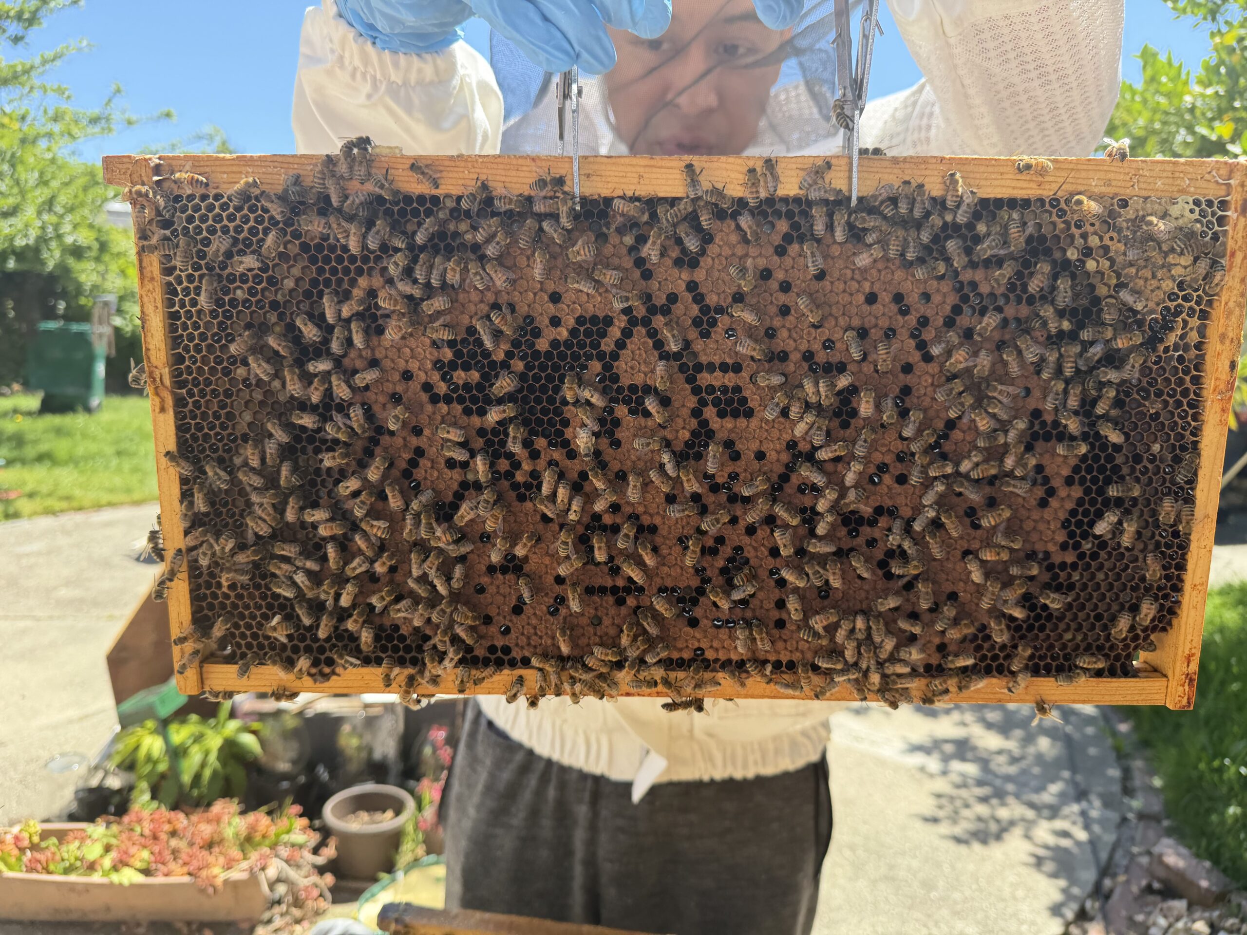 May 14 inspection frame 8