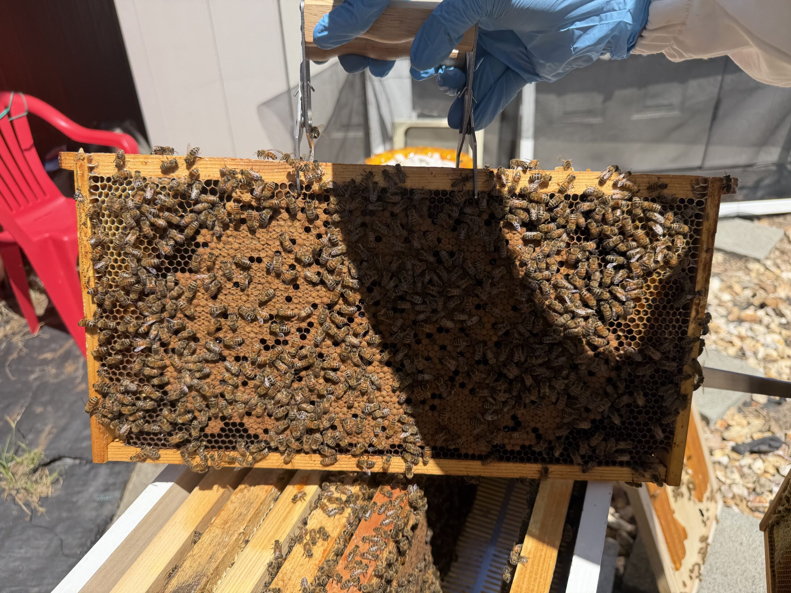 May 14 inspection frame 9
