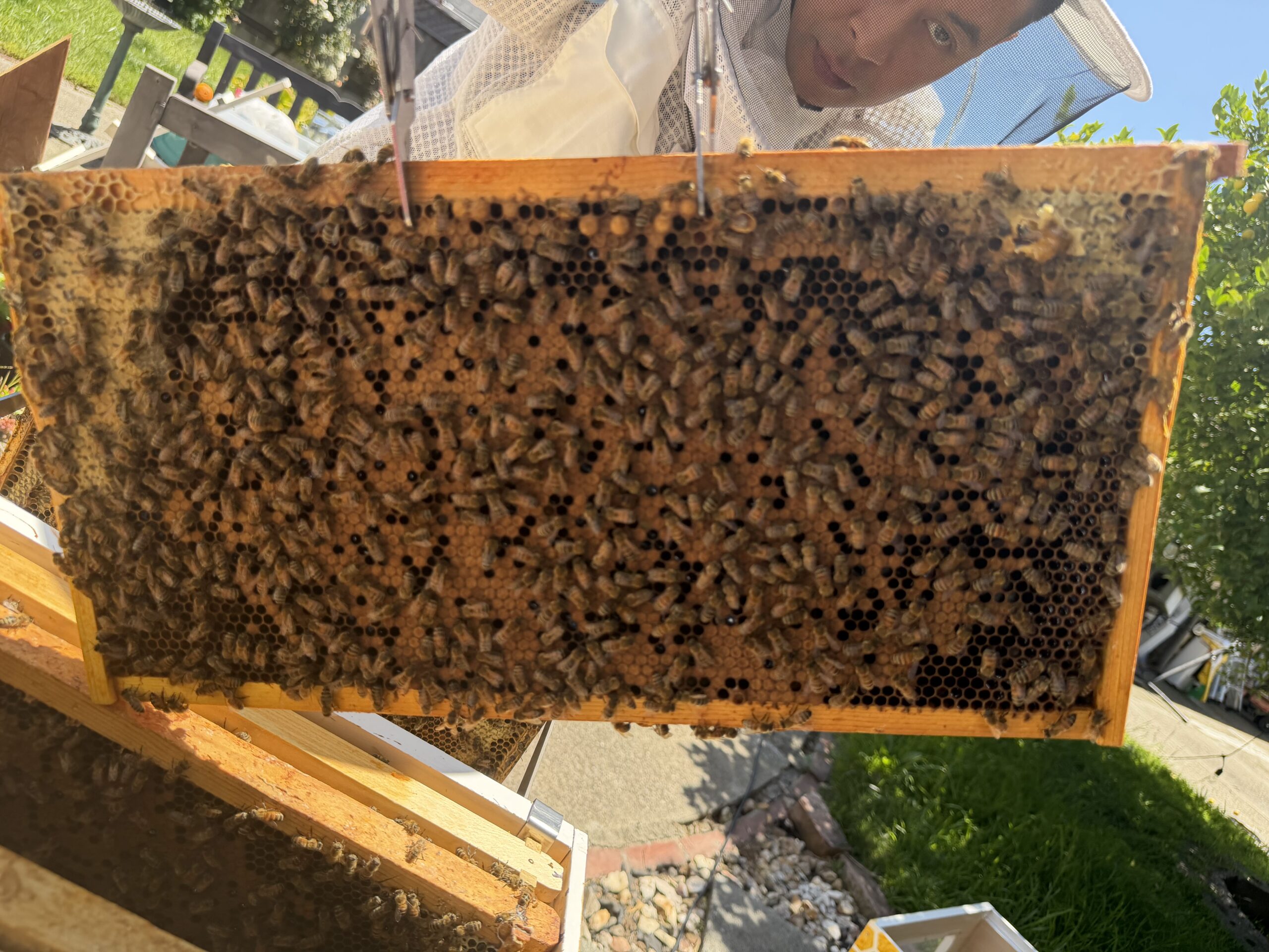 May 14 inspection frame 10