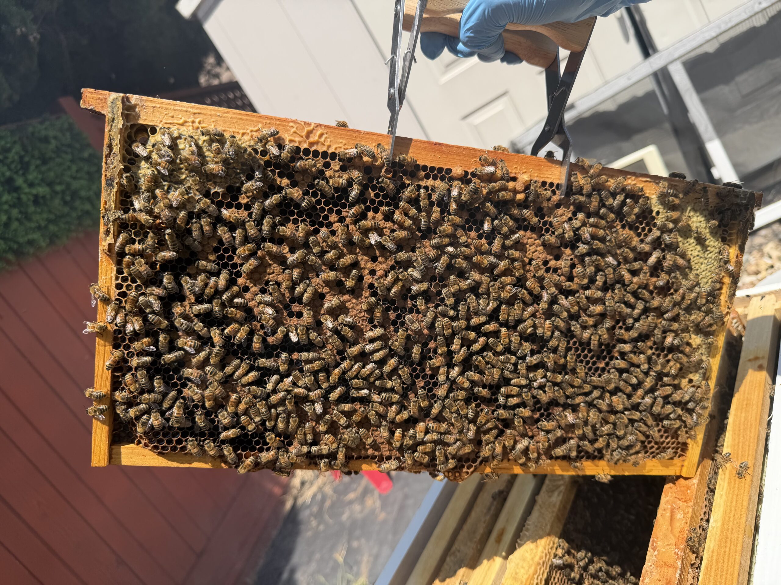 May 14 inspection frame 11
