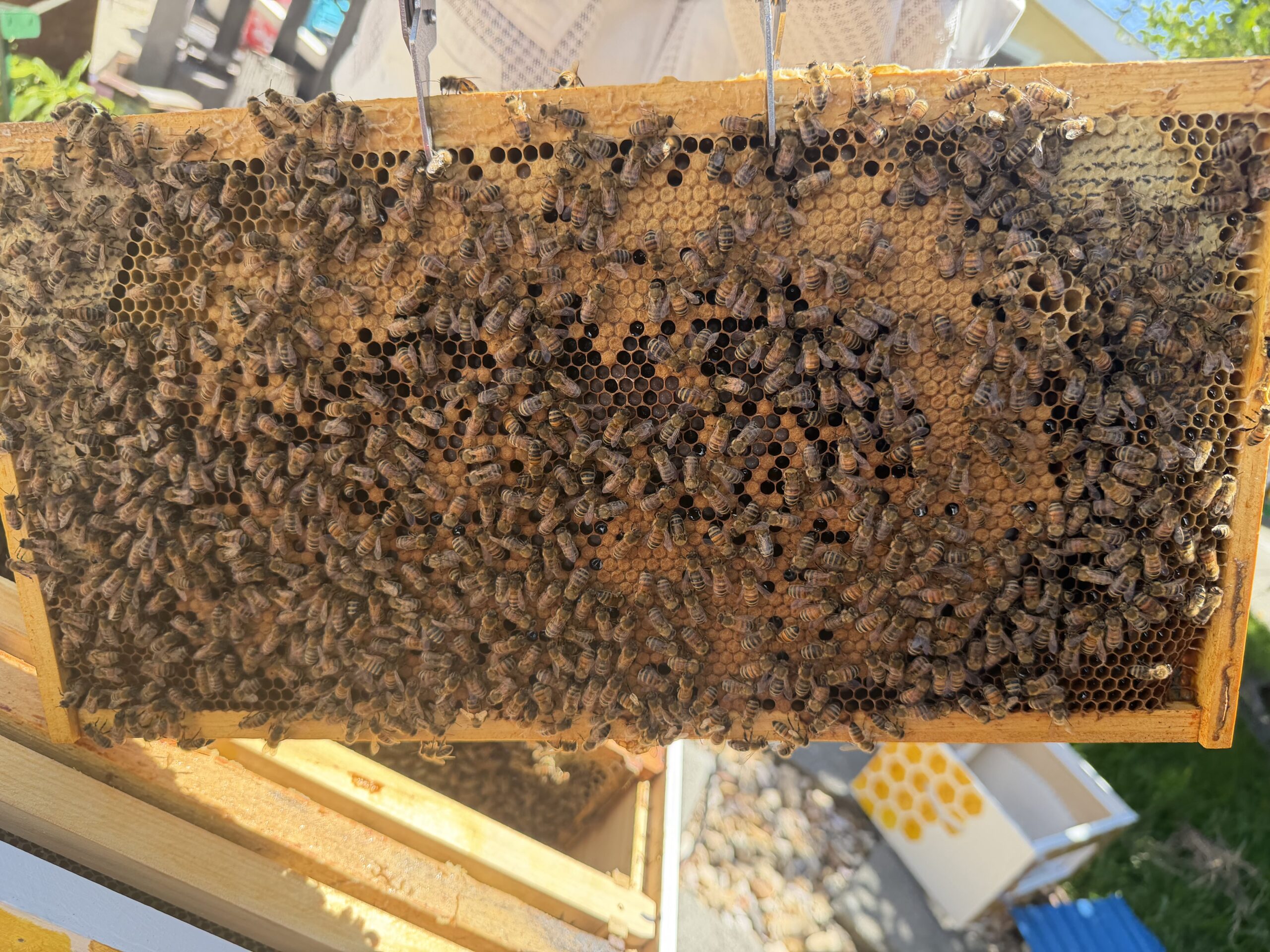 May 14 inspection frame 12