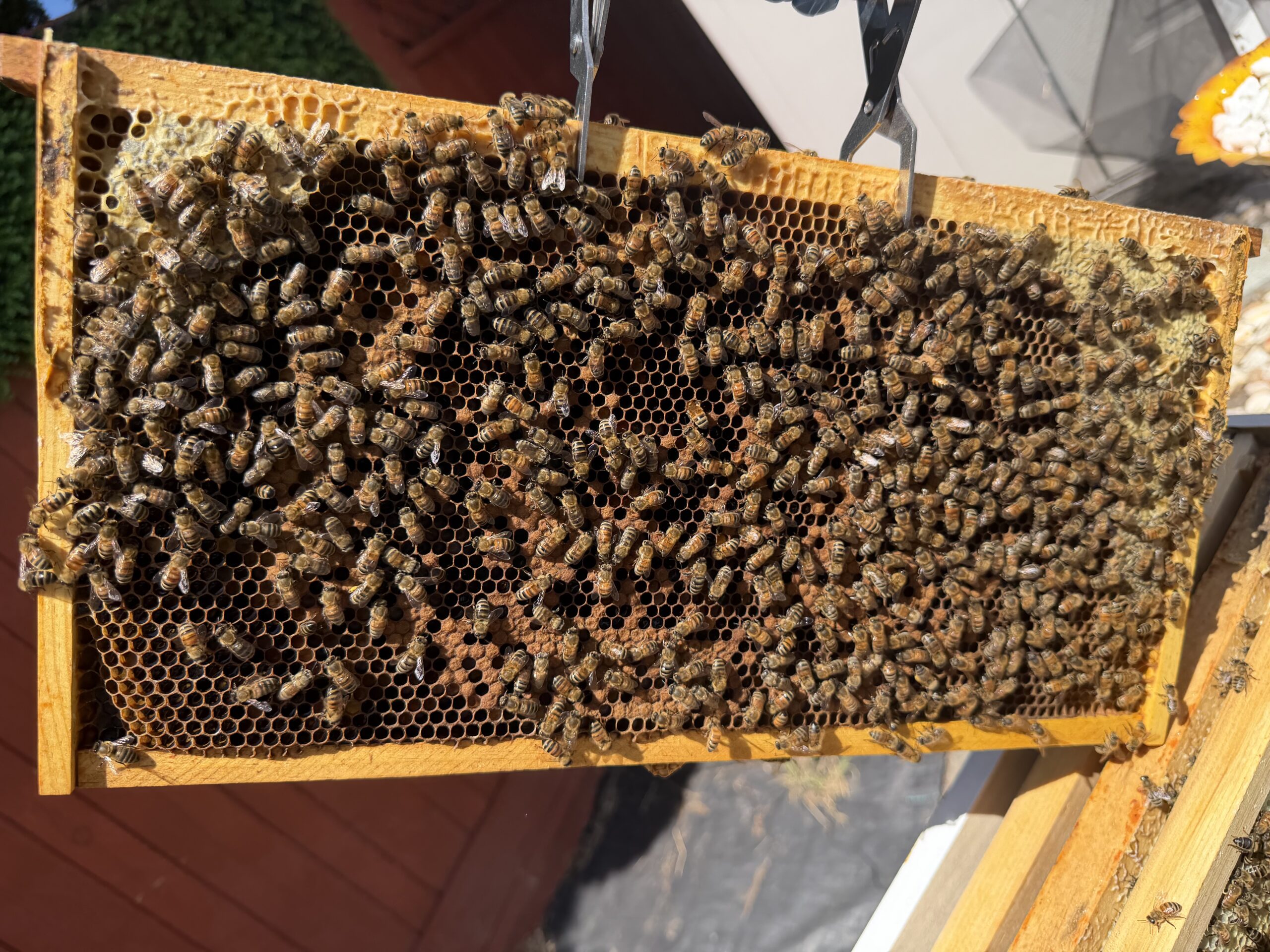 May 14 inspection frame 13