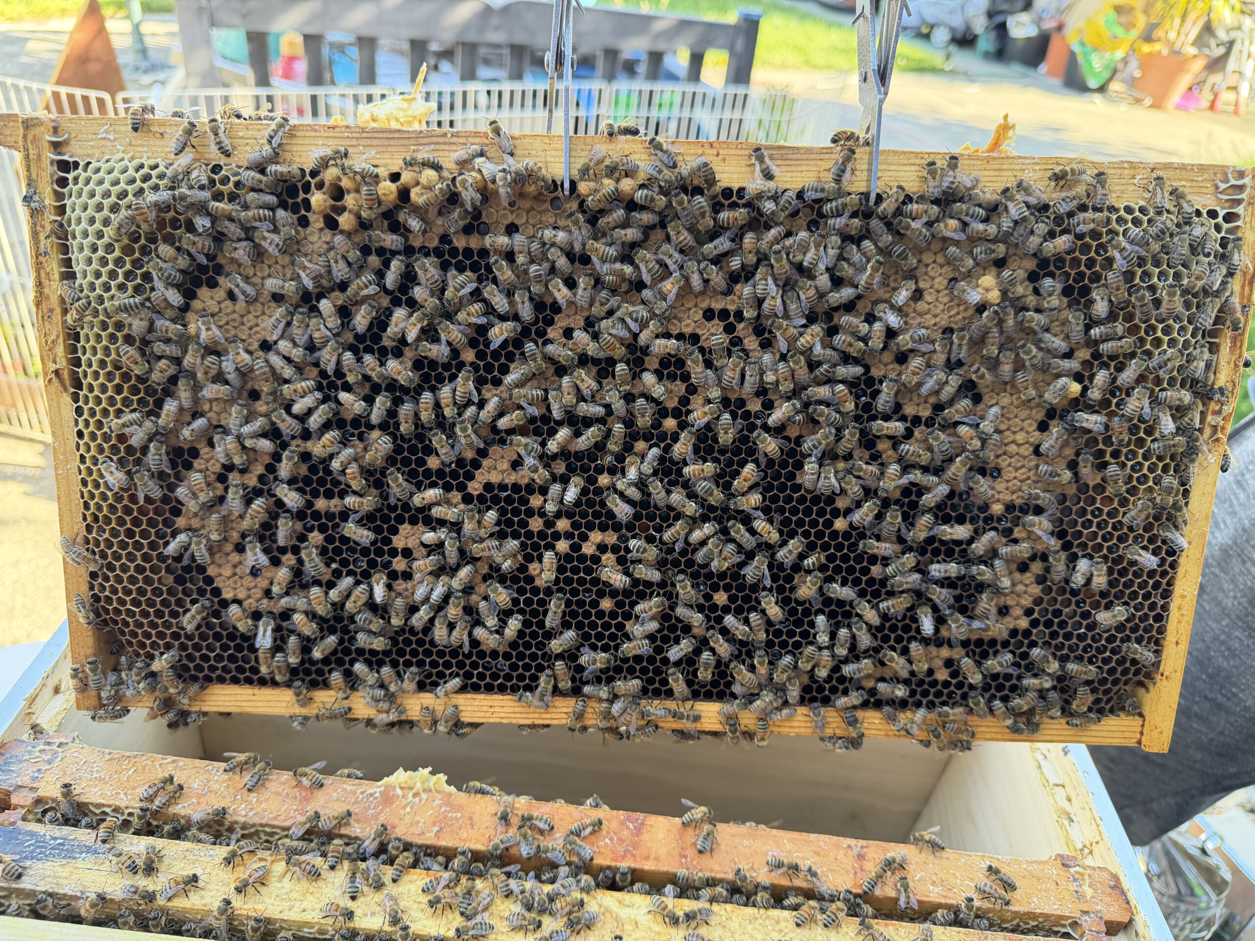 Frame 3 side B