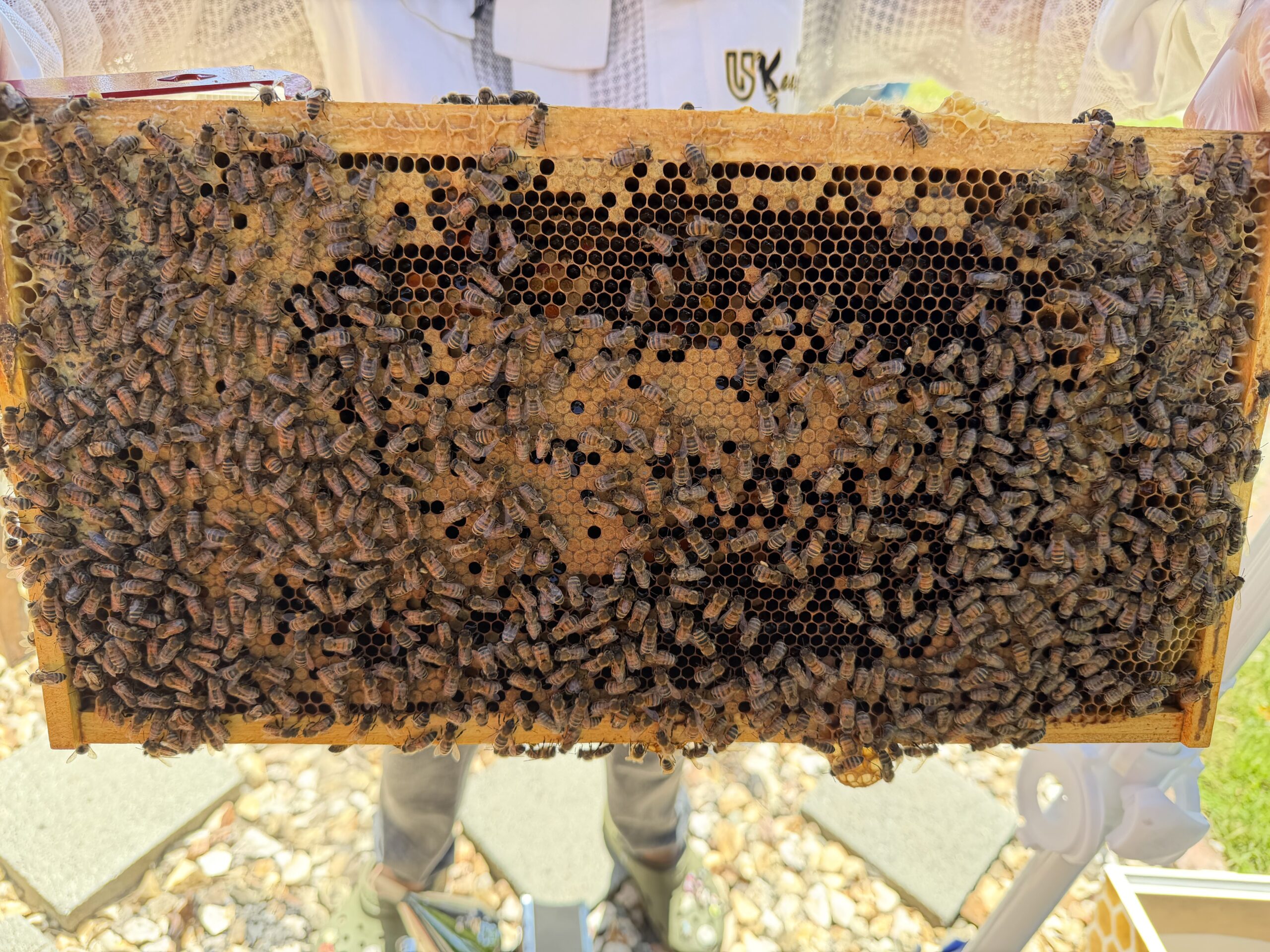 Frame 5 side A