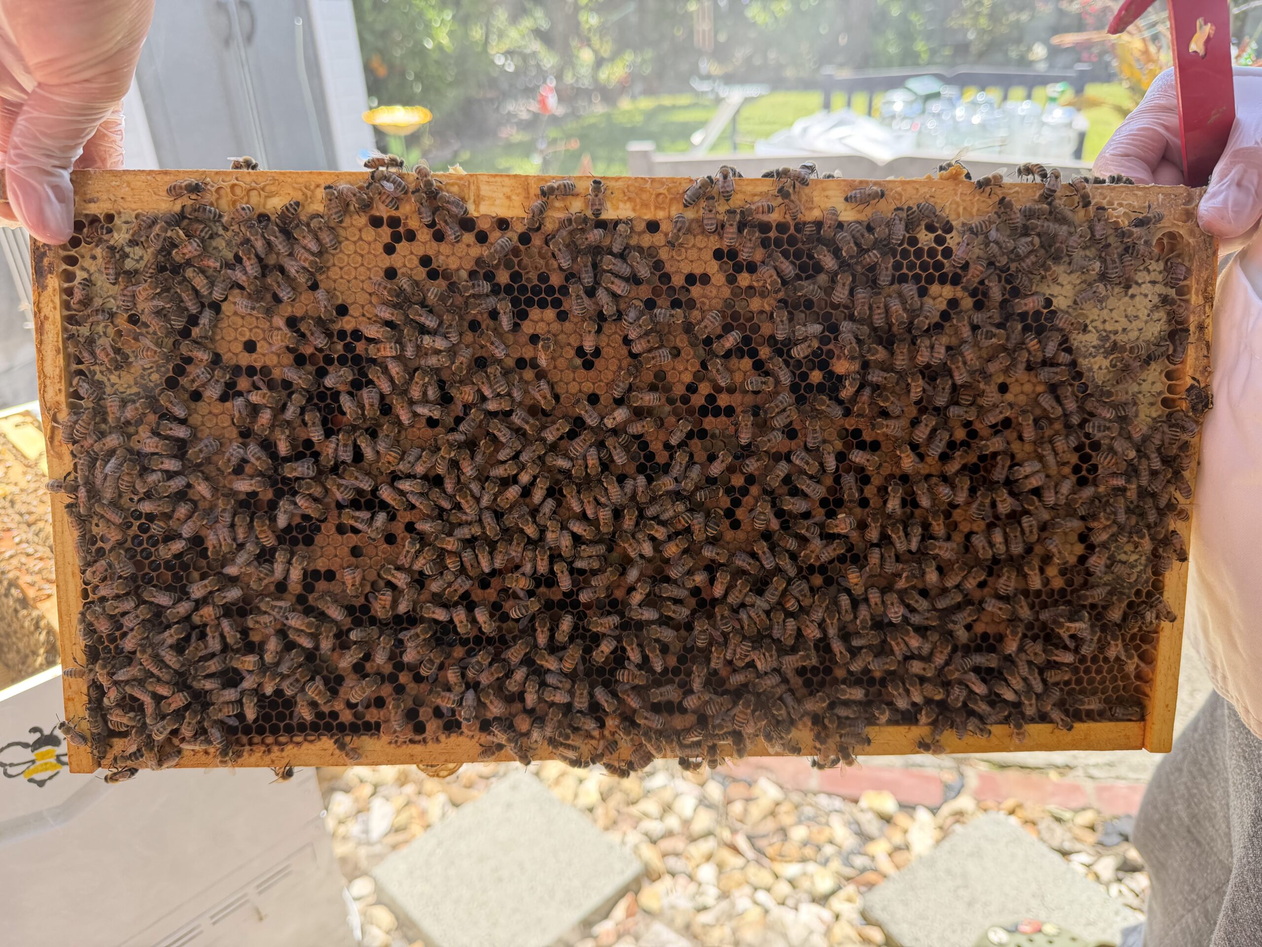 Frame 5 side B