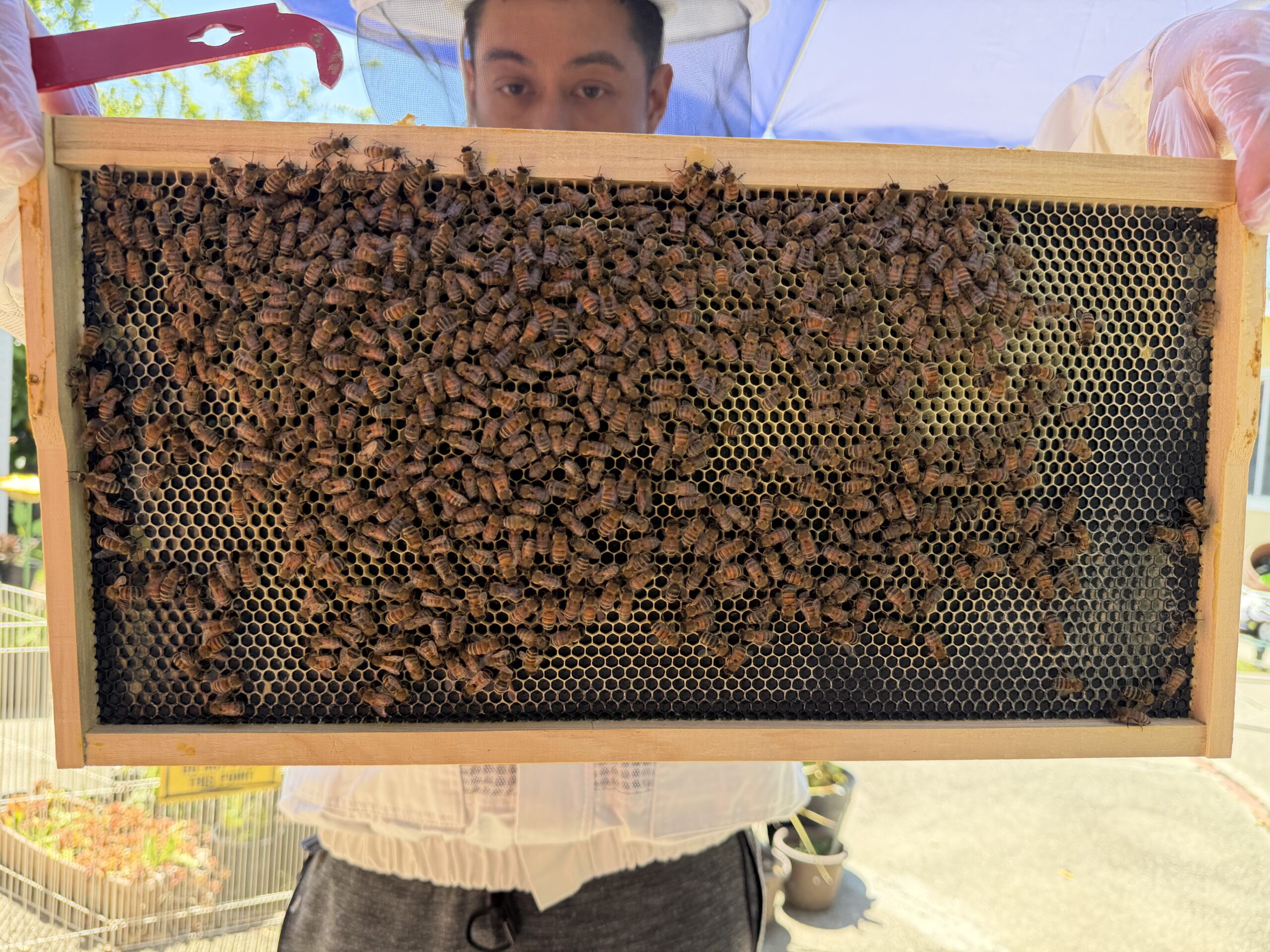 Frame 6 side A