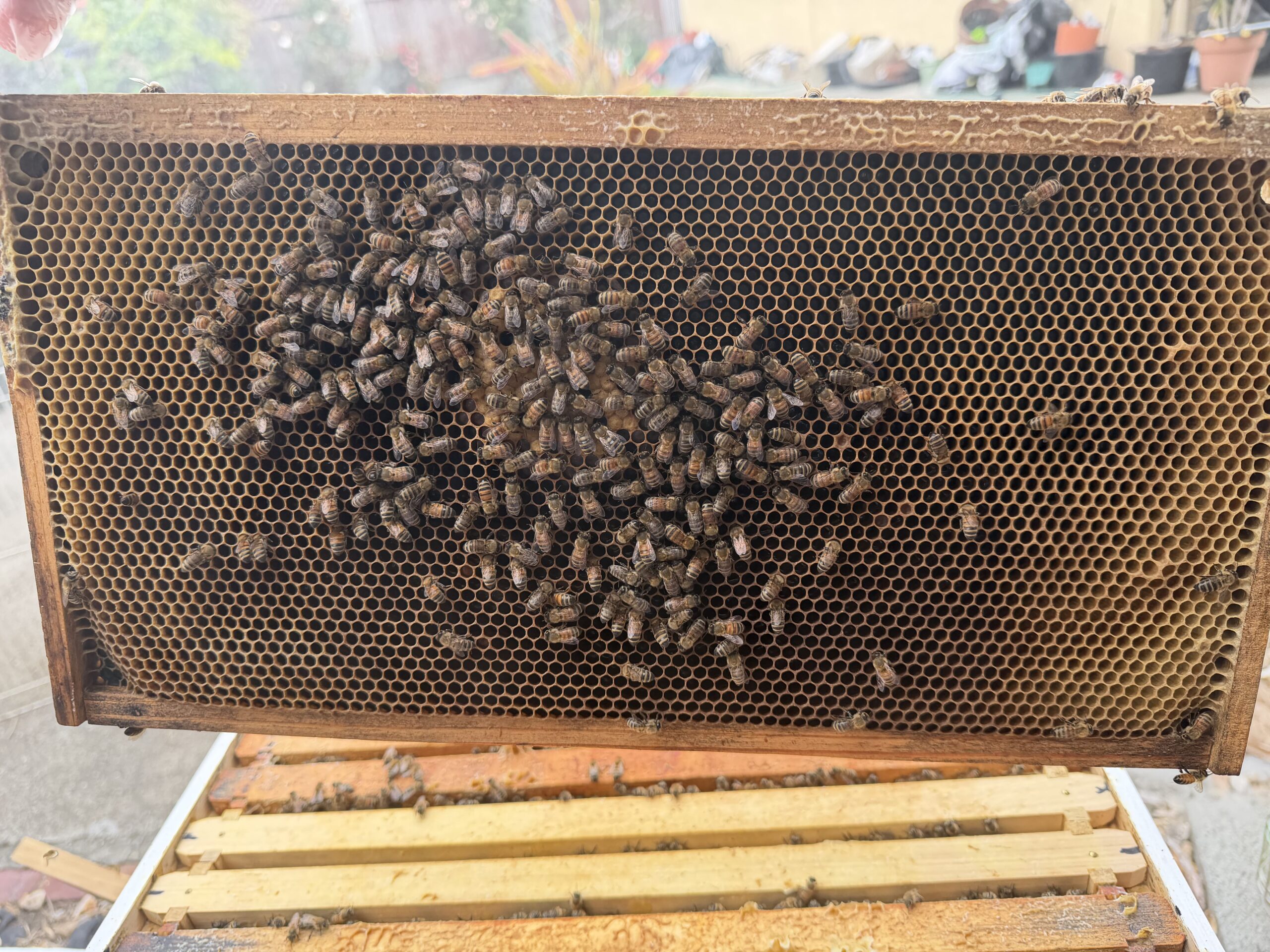 Frame 1 side B