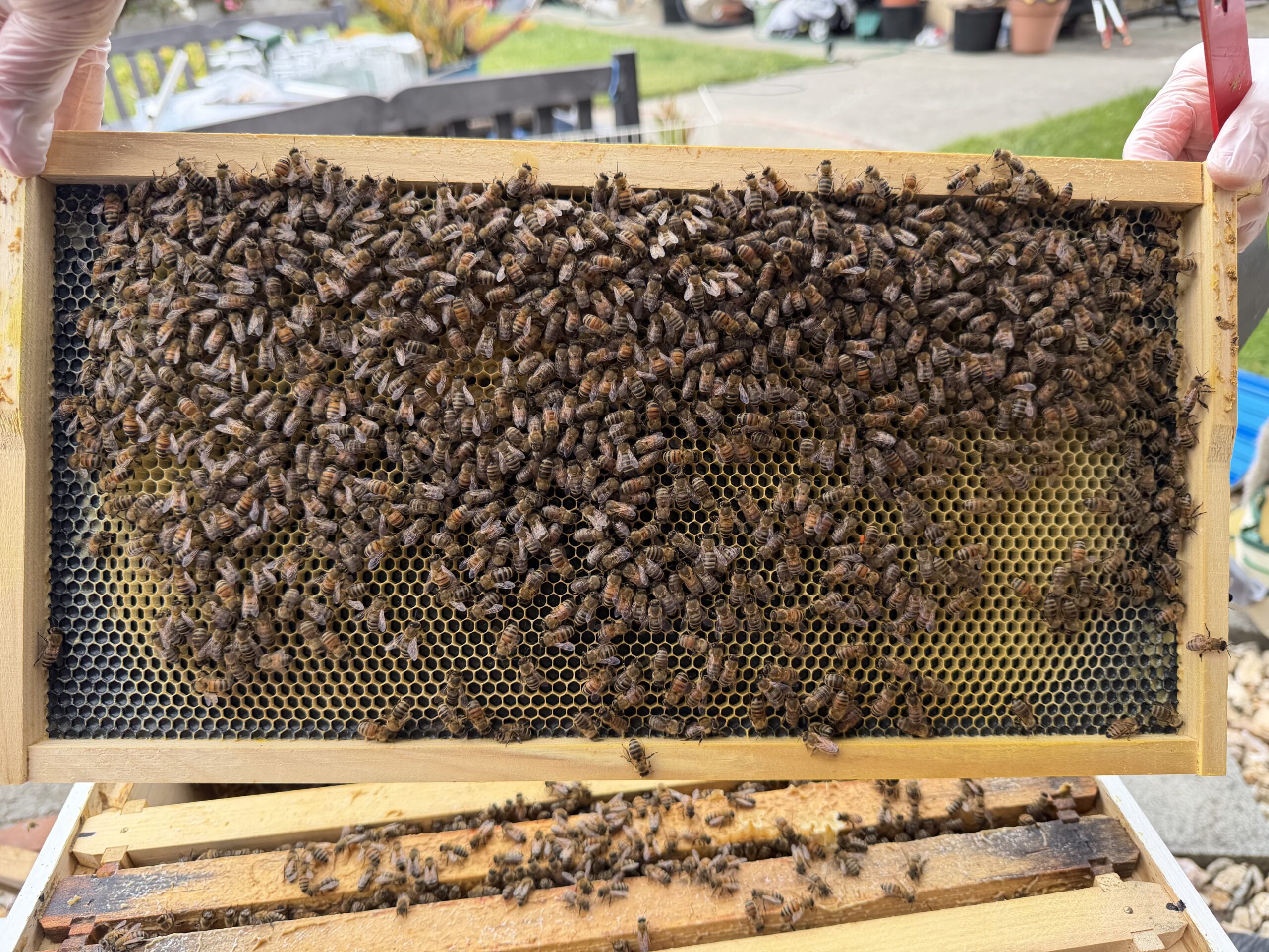 Frame 4 side B