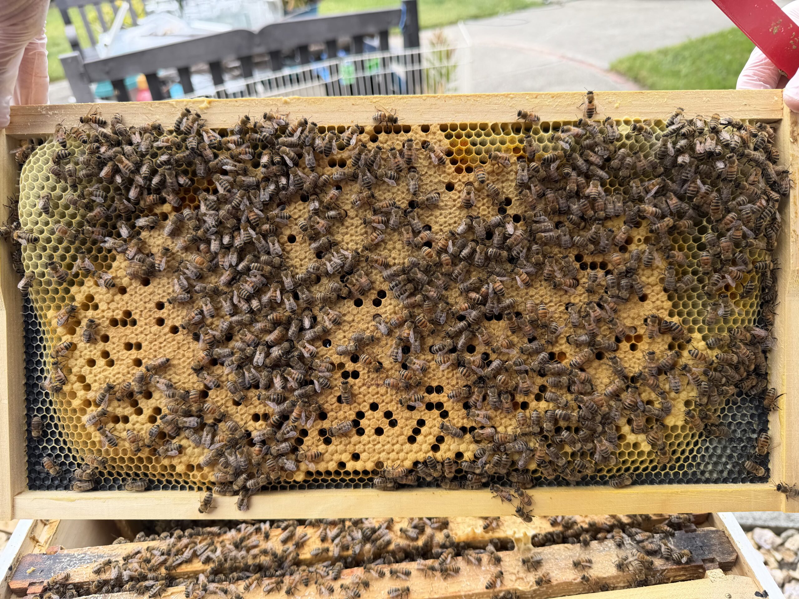 Frame 5 side B