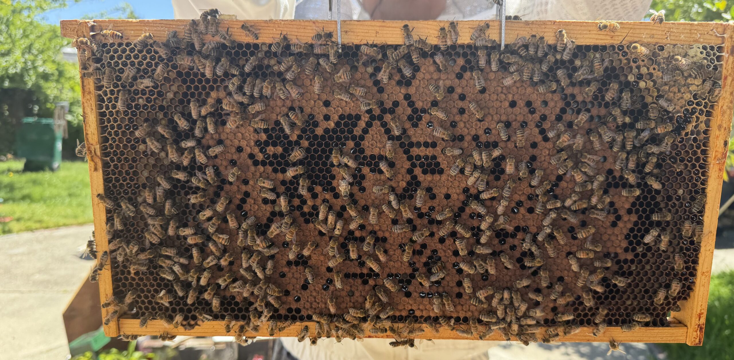 May 14 inspection frame 8