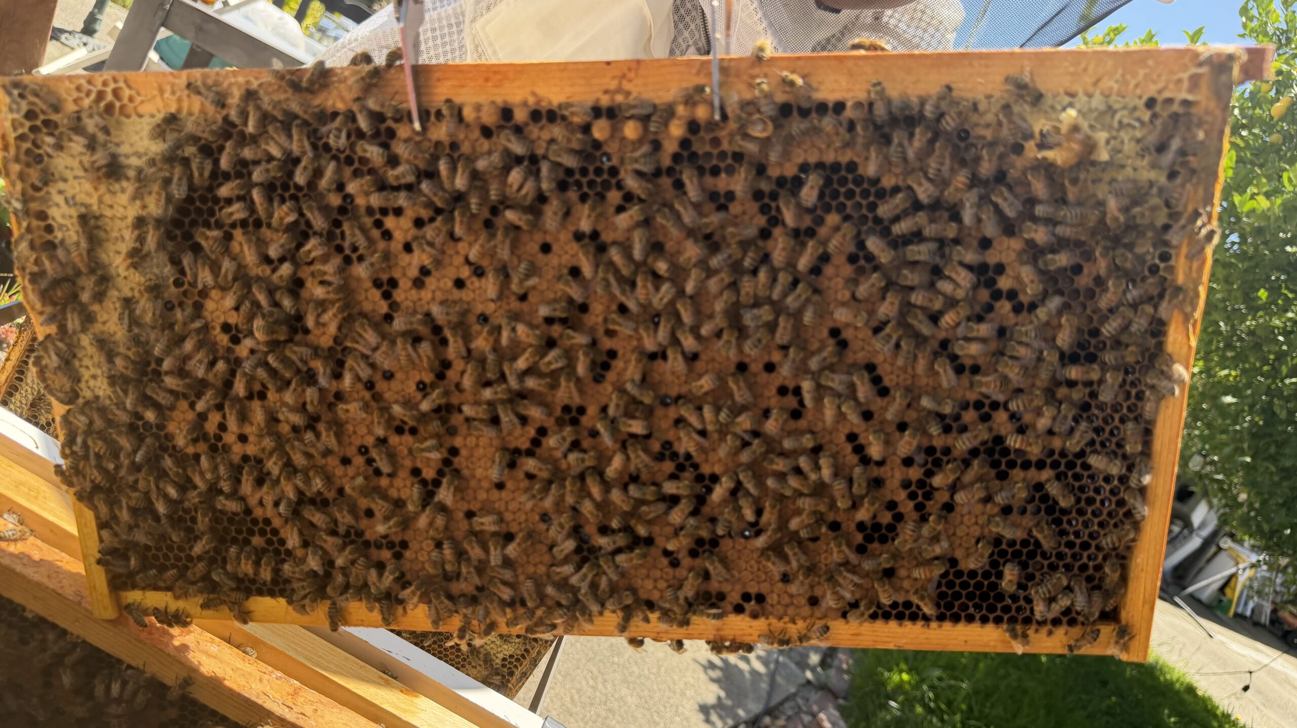 May 14 inspection frame 10