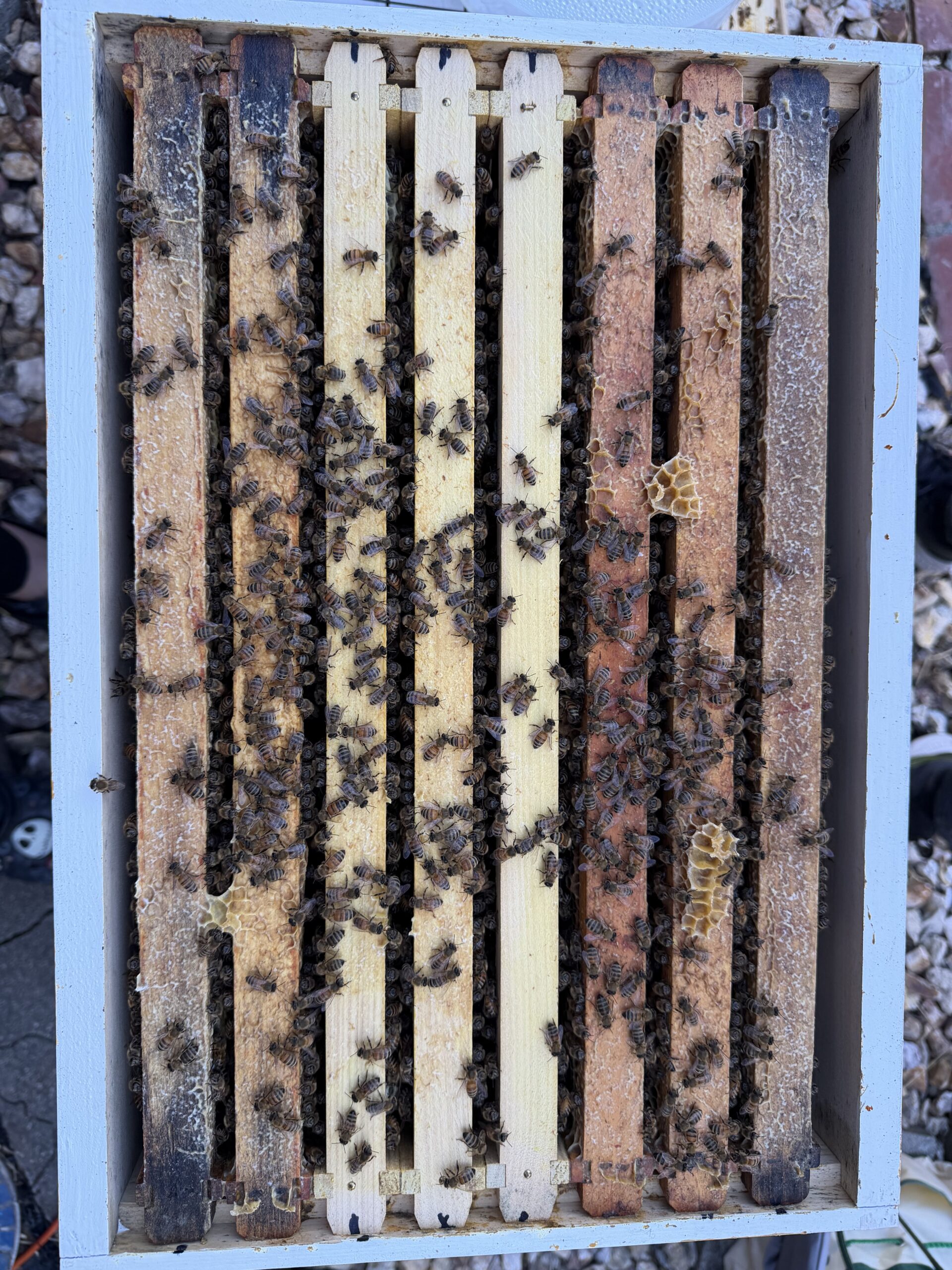 Top view