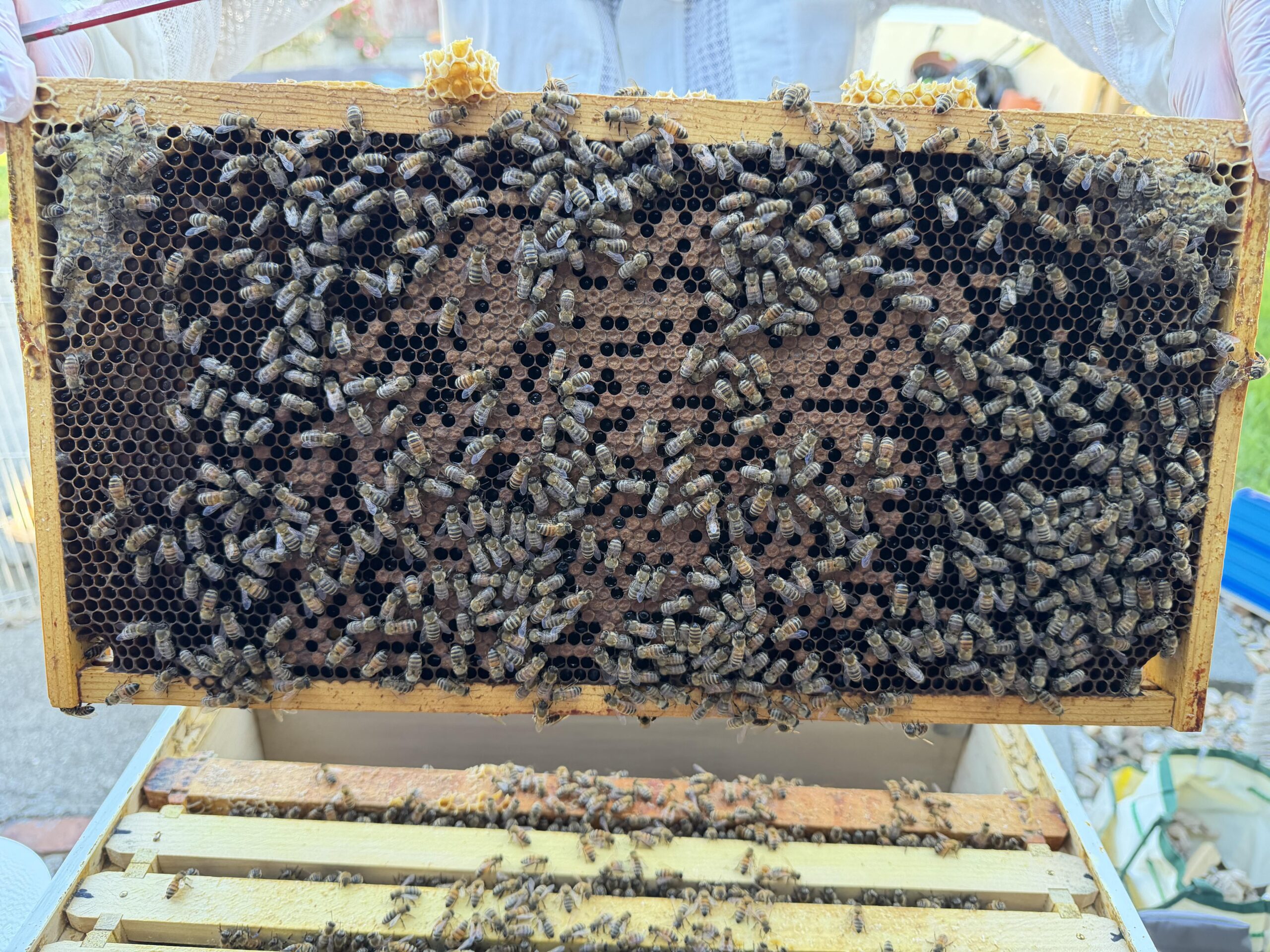 Frame 2 side A