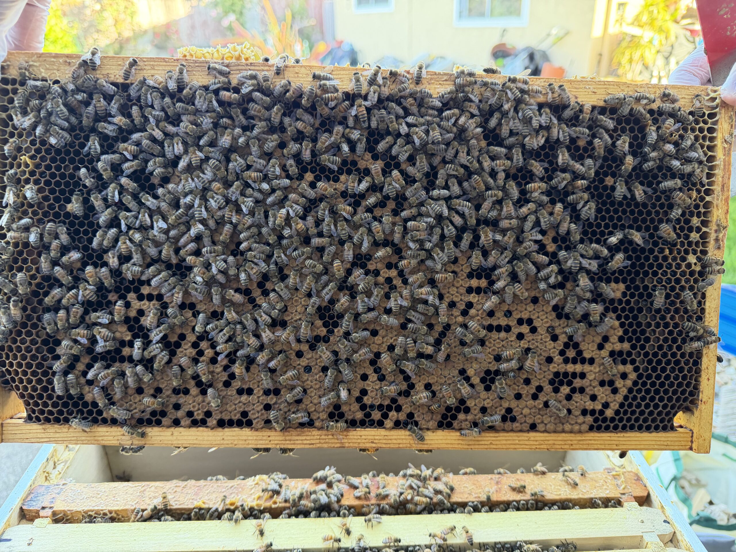 Frame 2 side B