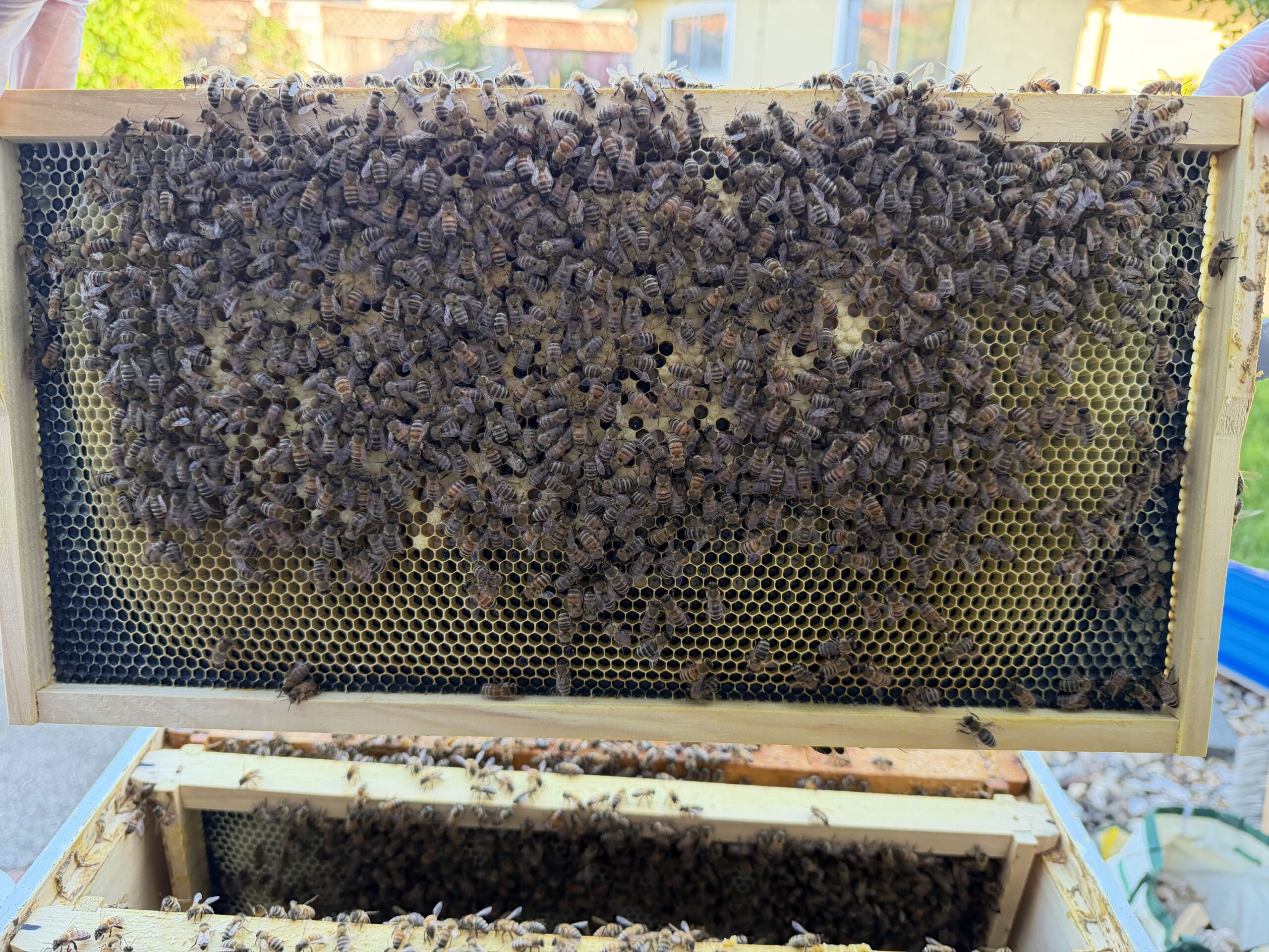 Frame 5 side B