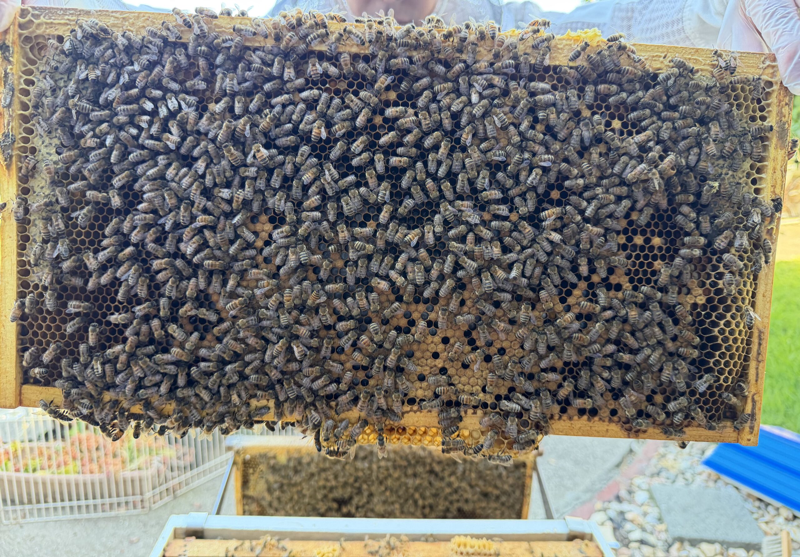 Frame 7 side A