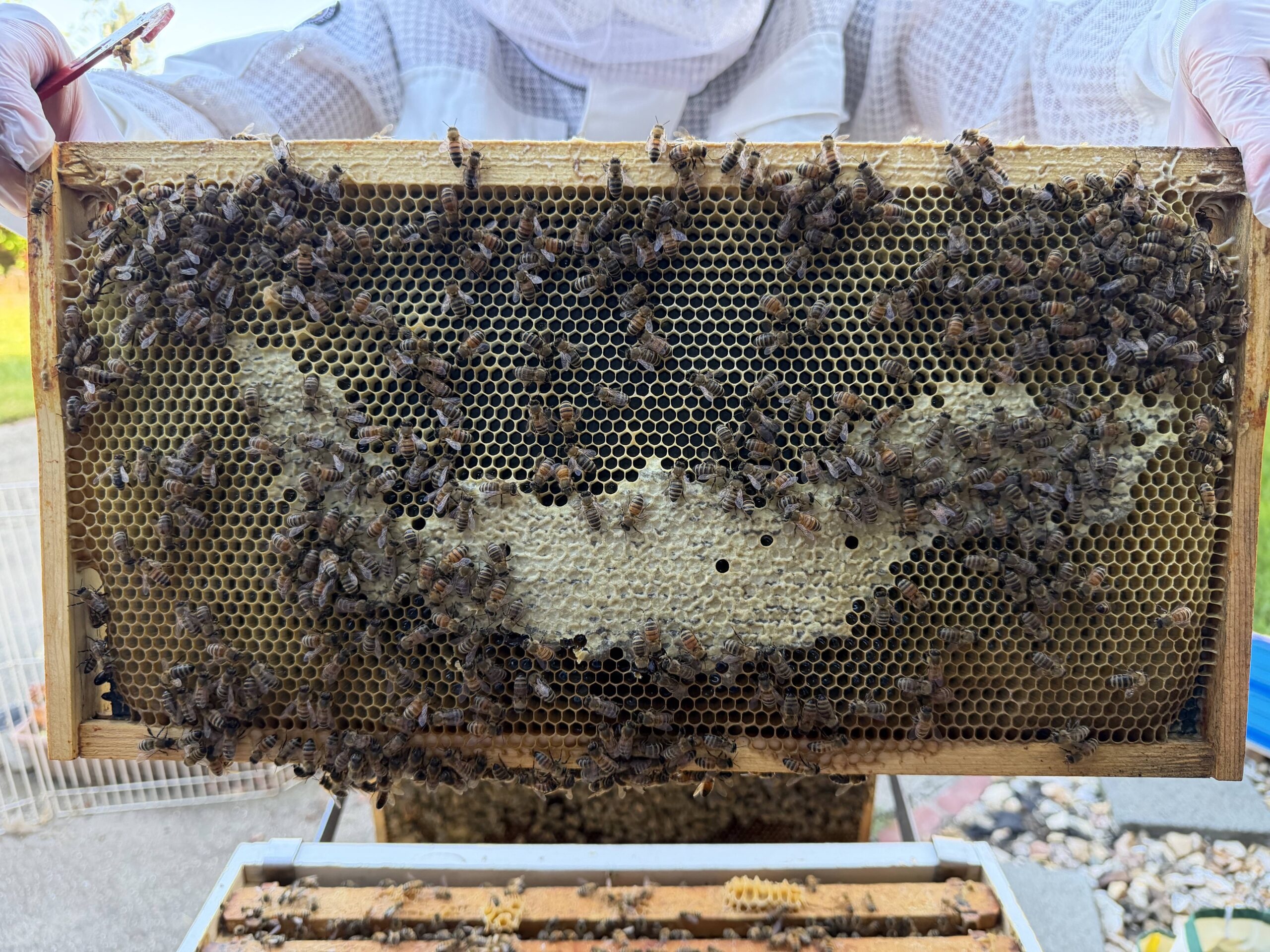 Frame 8 side A