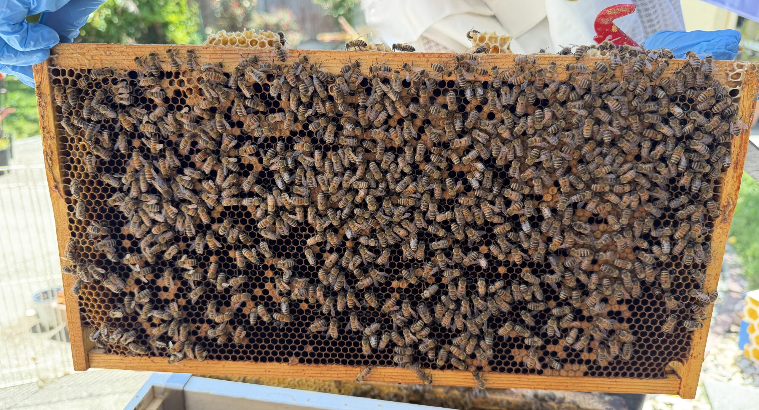 Frame 2 side B