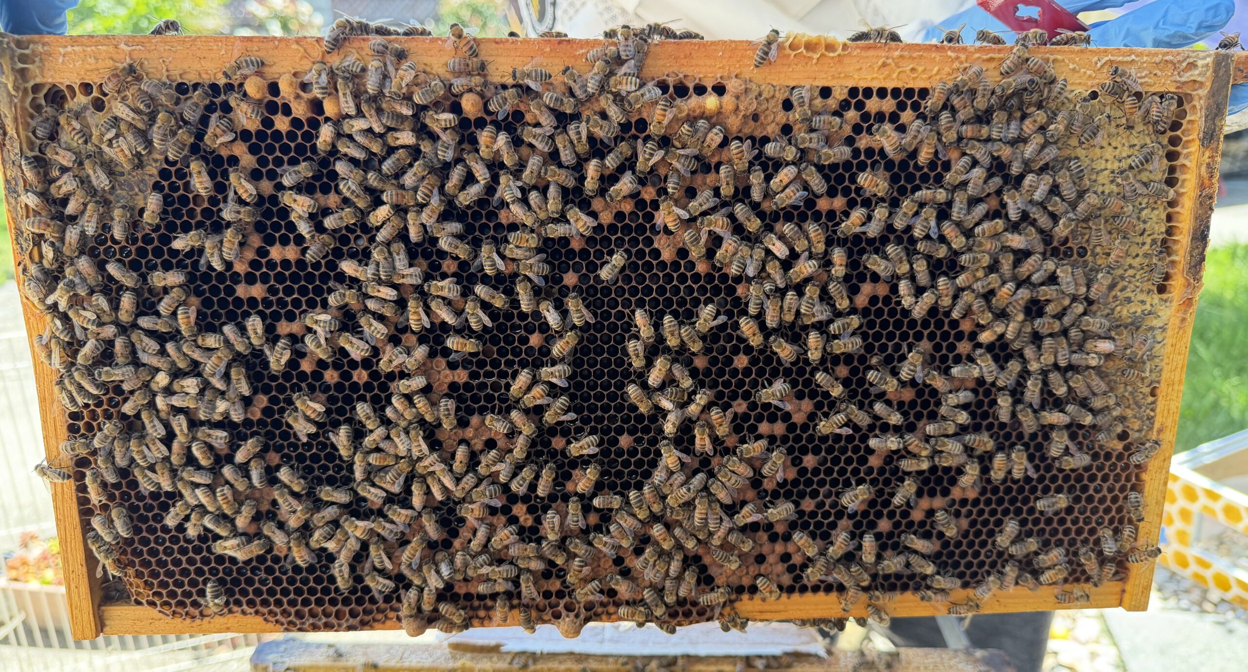 Frame 3 side B