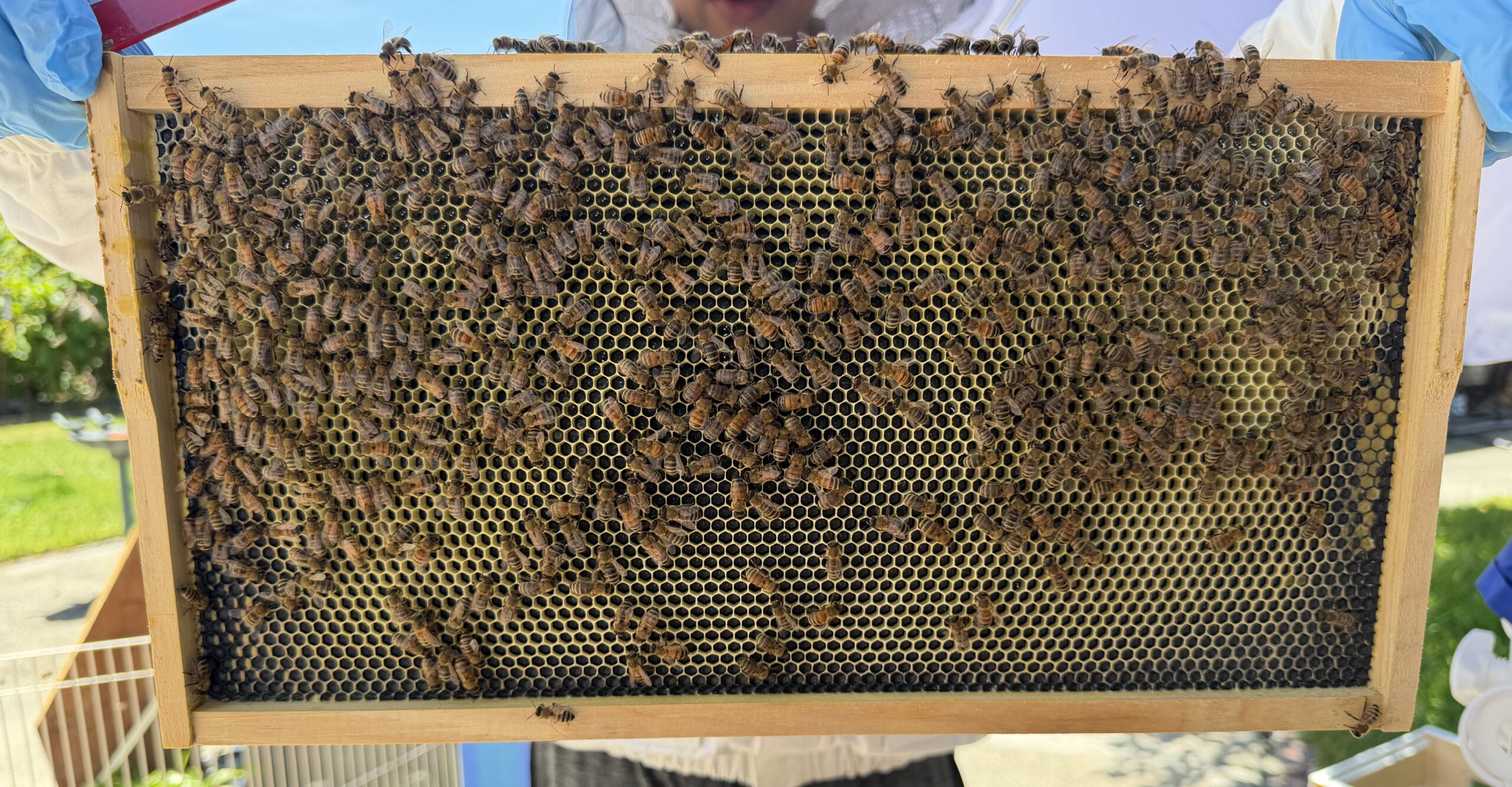 Frame 4 side A