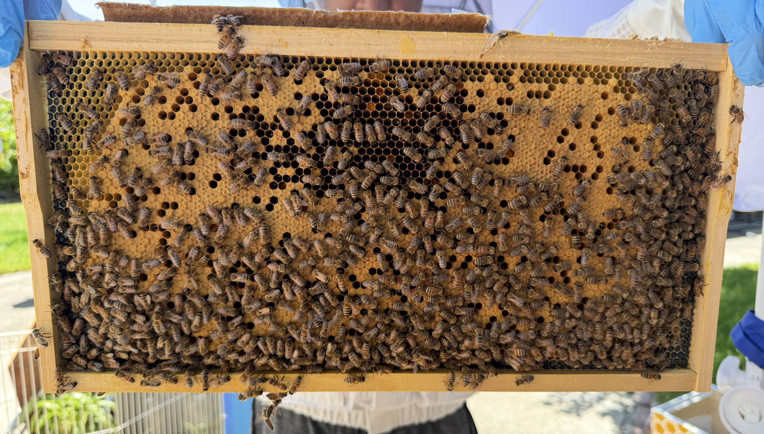 Frame 6 side A