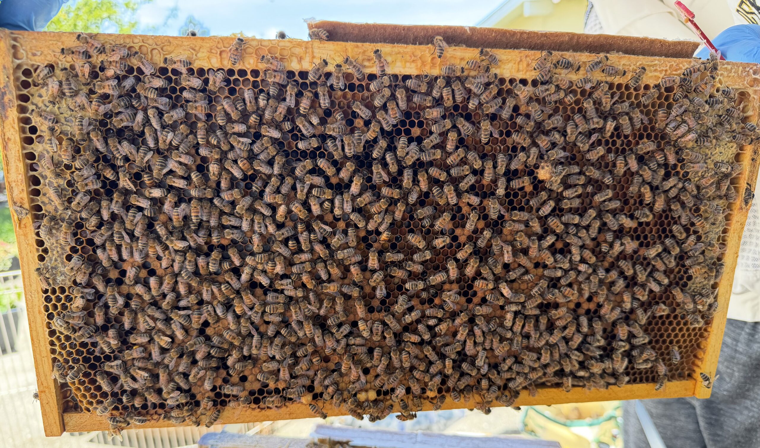 Frame 7 side B
