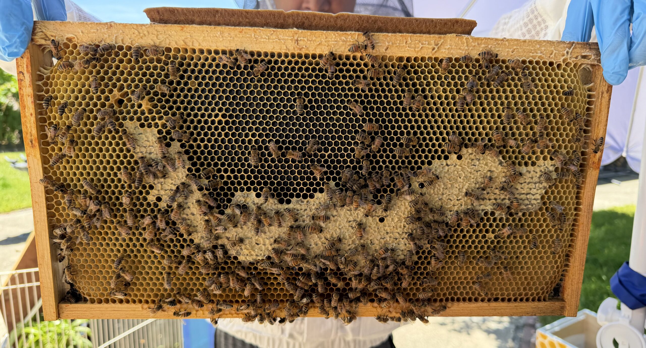 Frame 8 side A