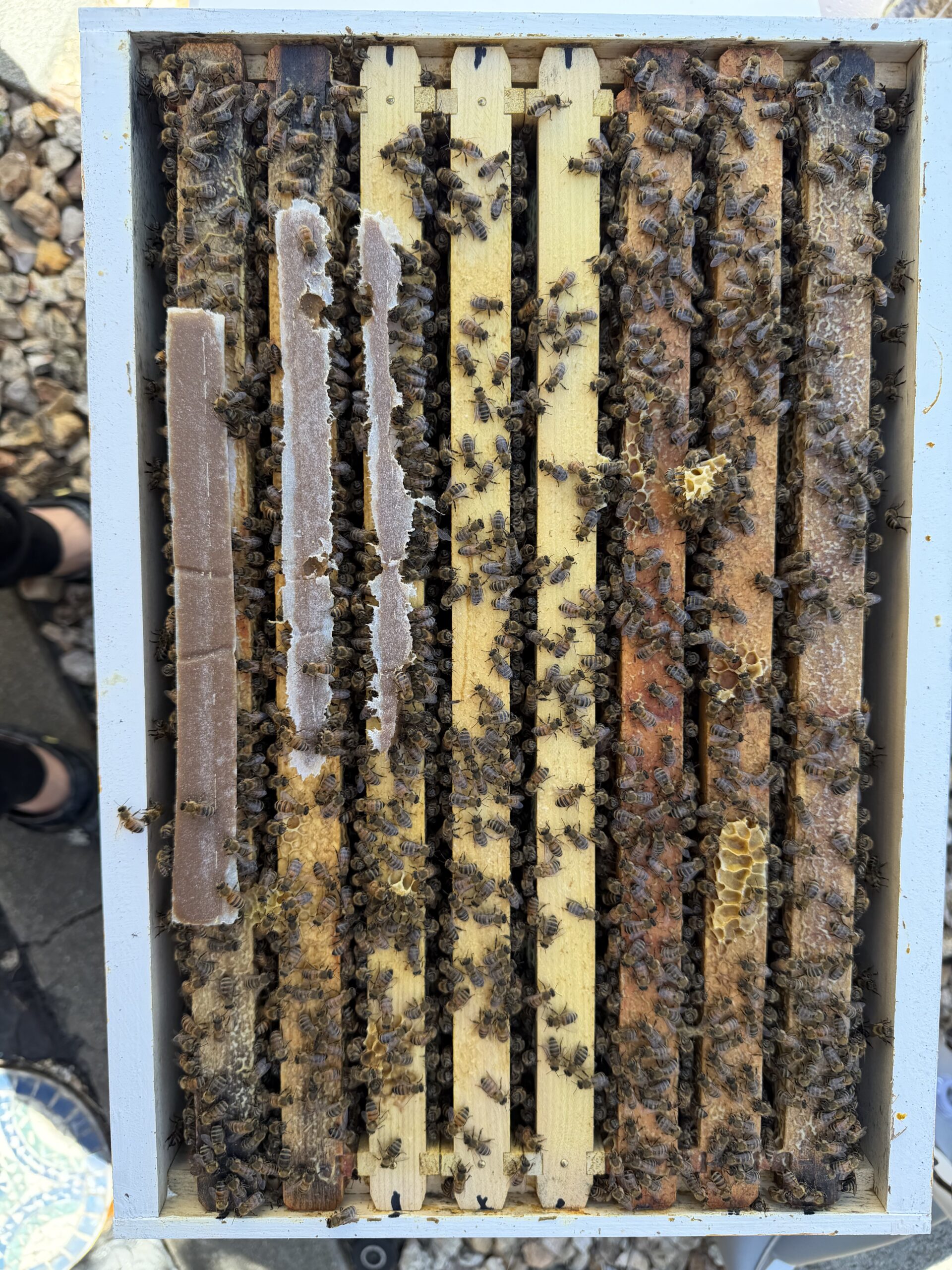Bottom box top view