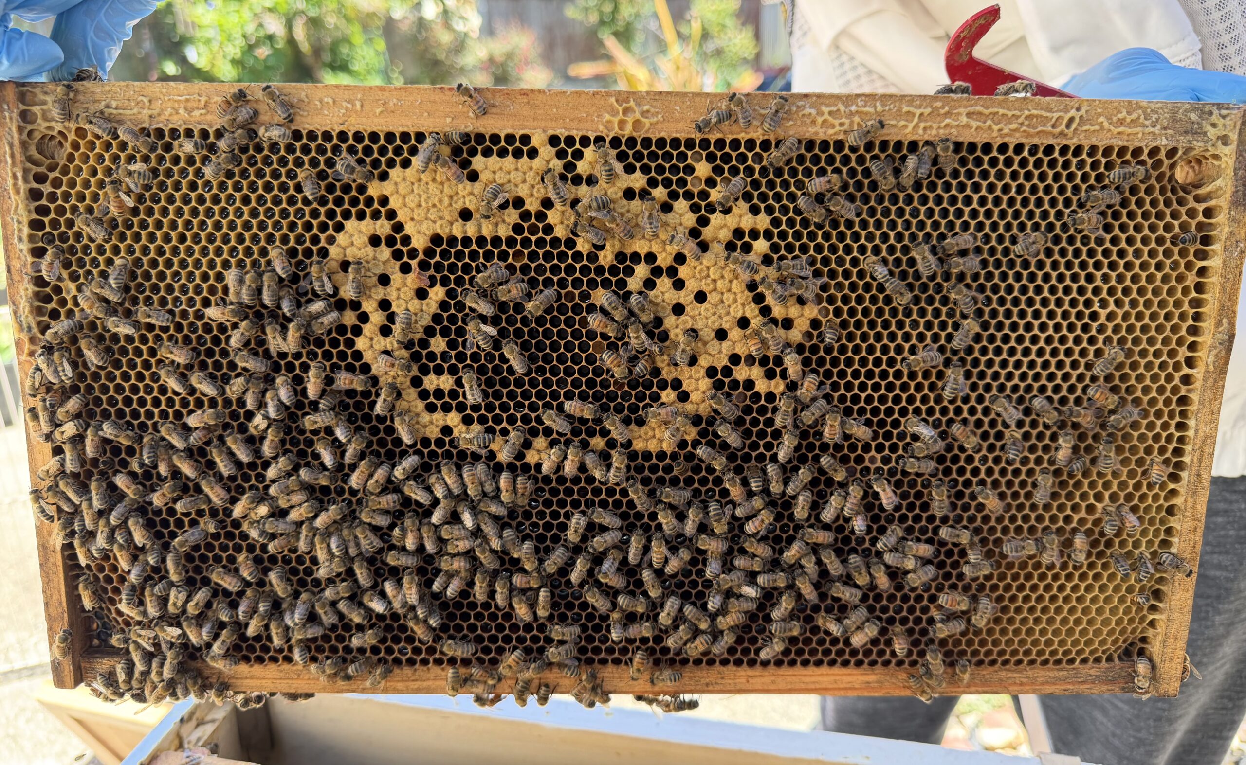 Frame 1 side B