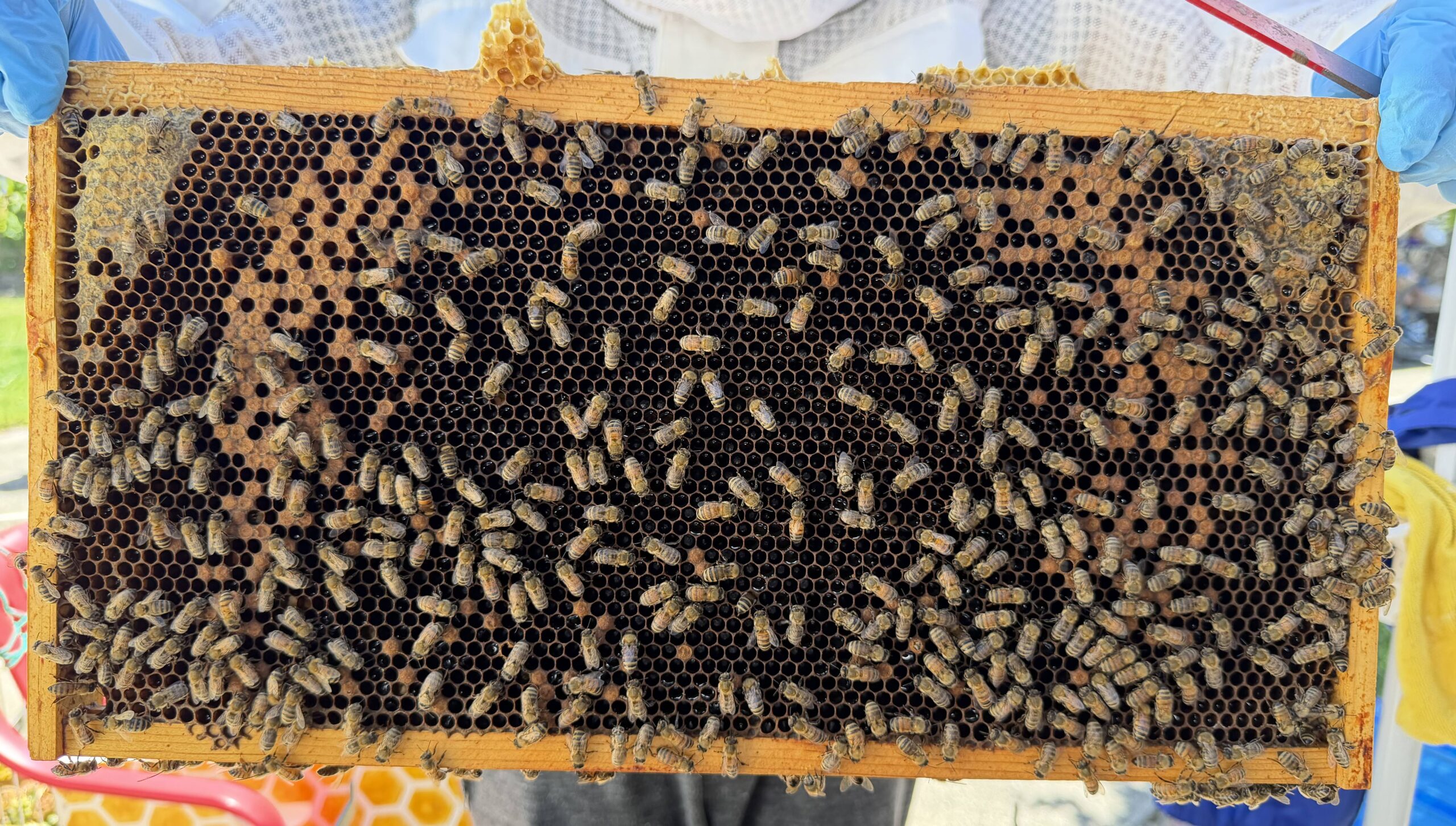 Frame 2 side A