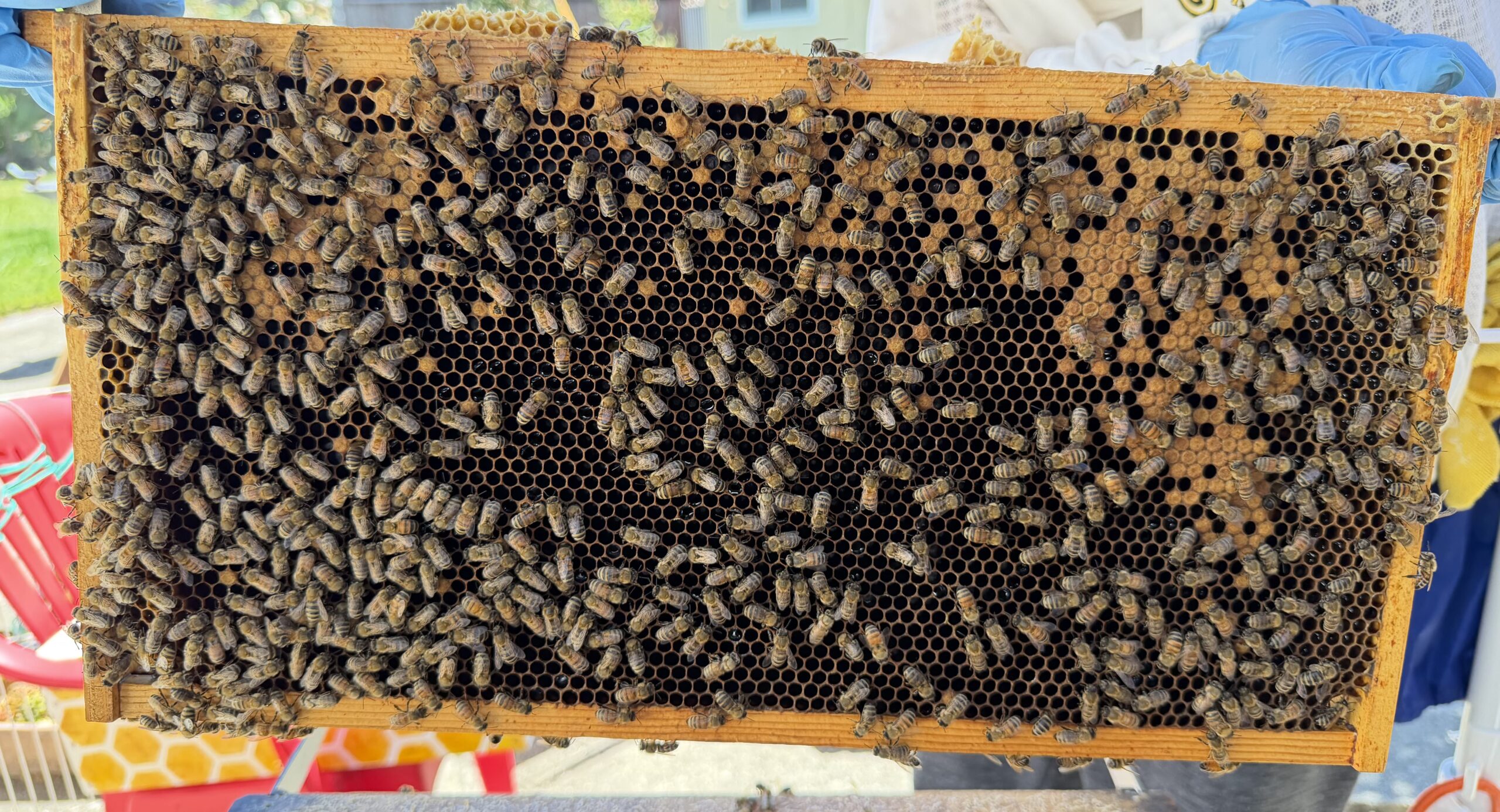 Frame 2 side B