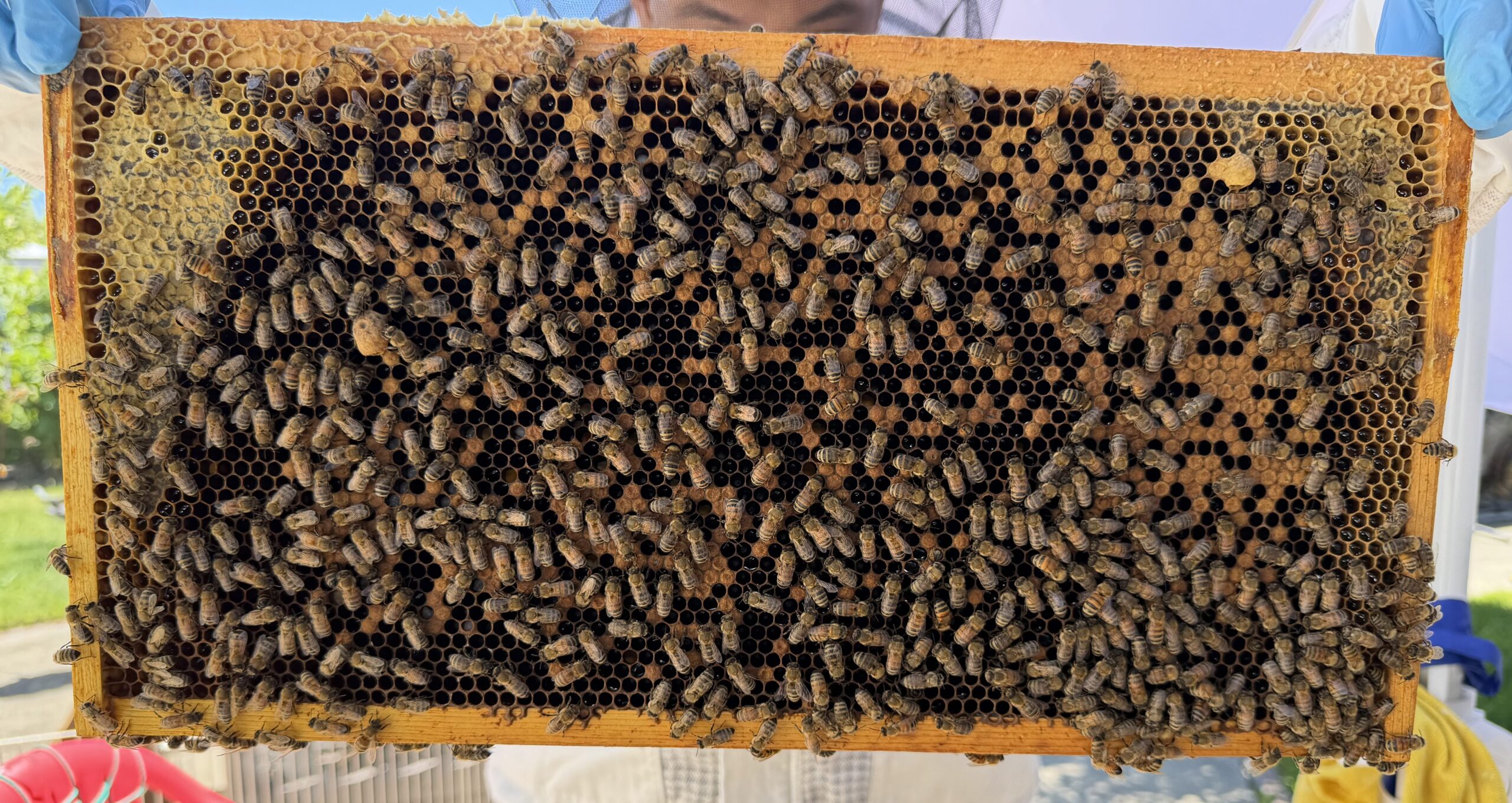 Frame 3 side A