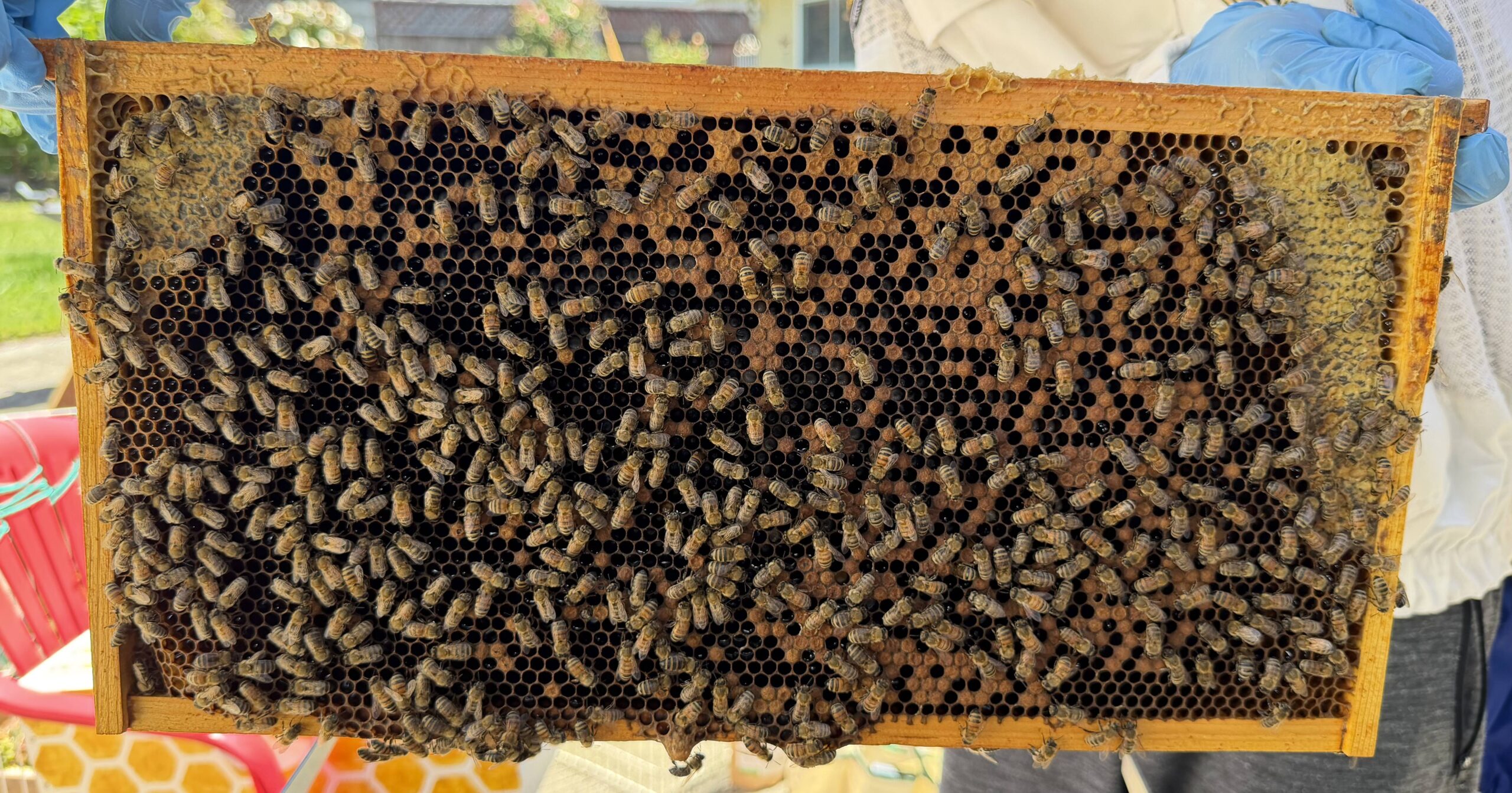 Frame 3 side B