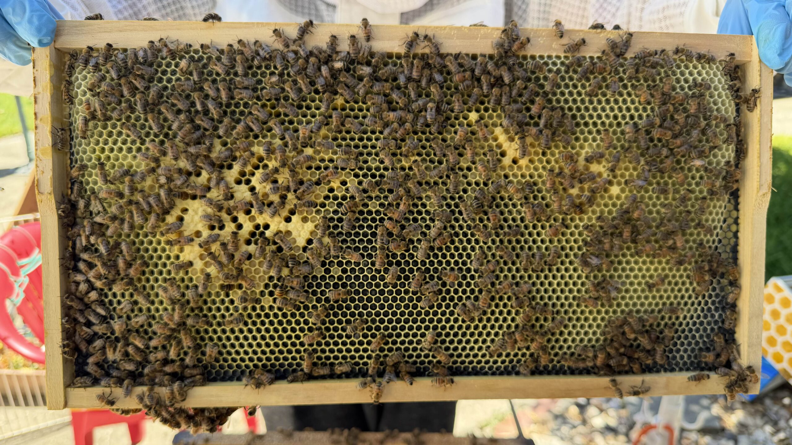 Frame 4 side A