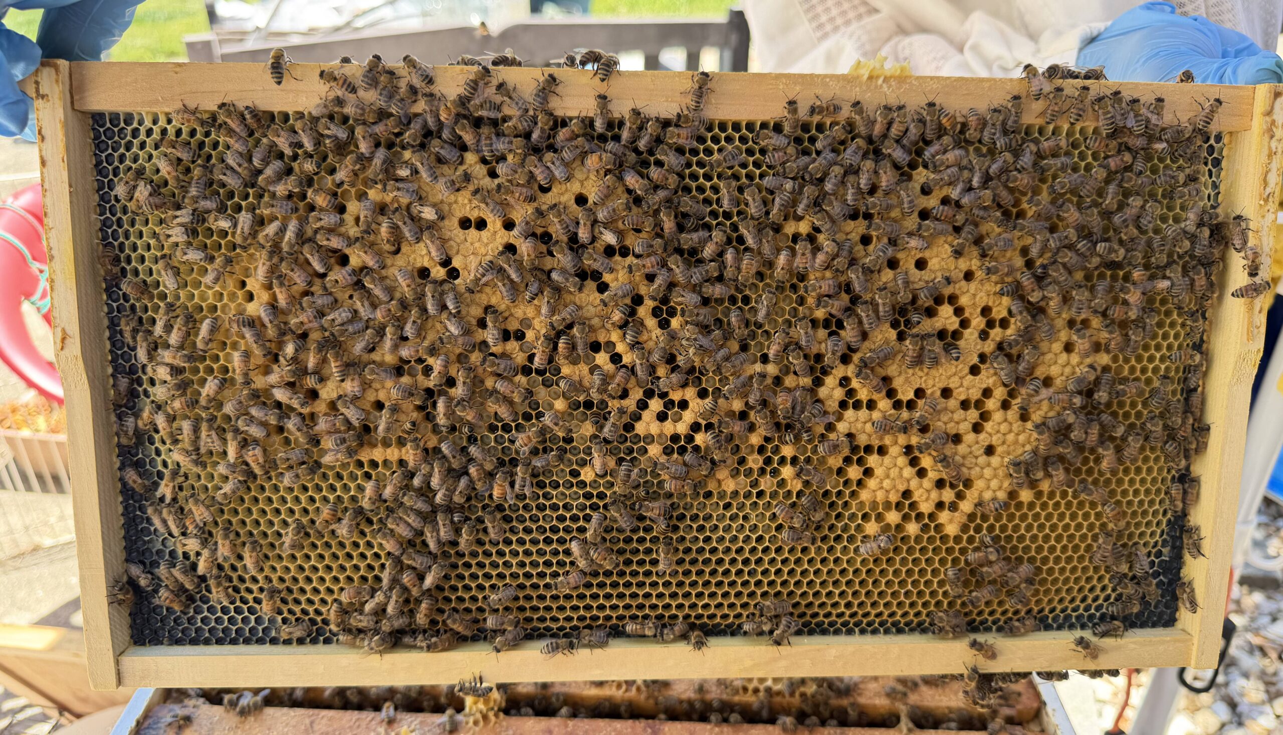 Frame 4 side B