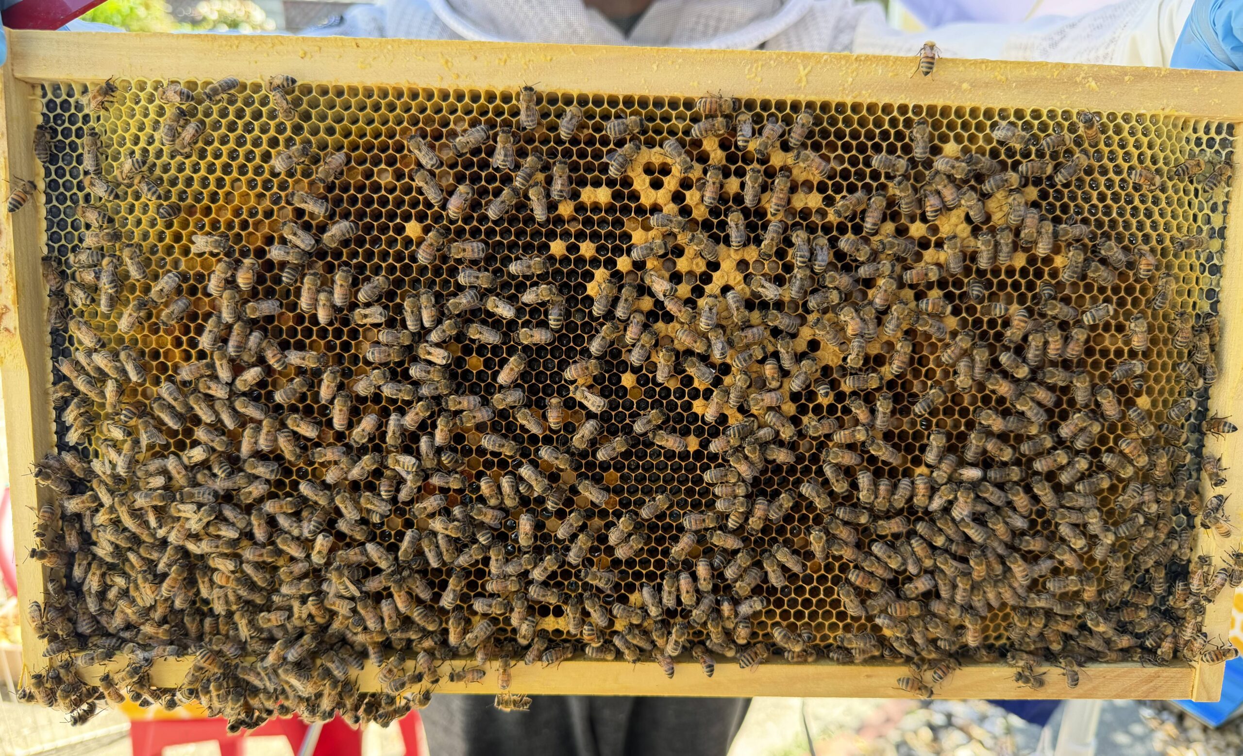 Frame 5 side A