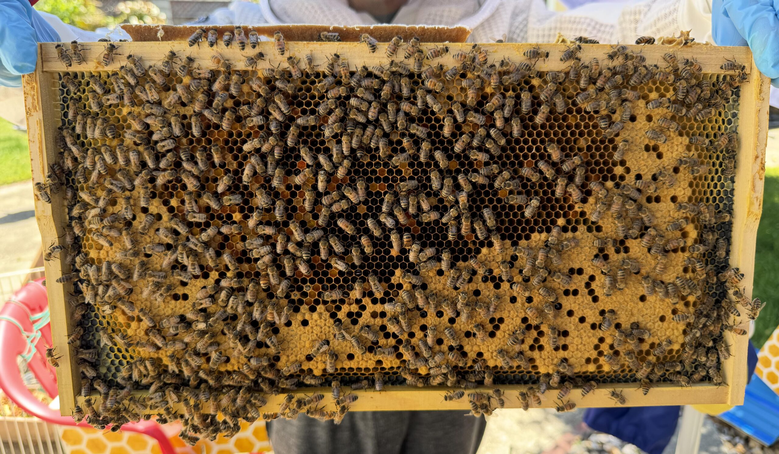 Frame 5 side B