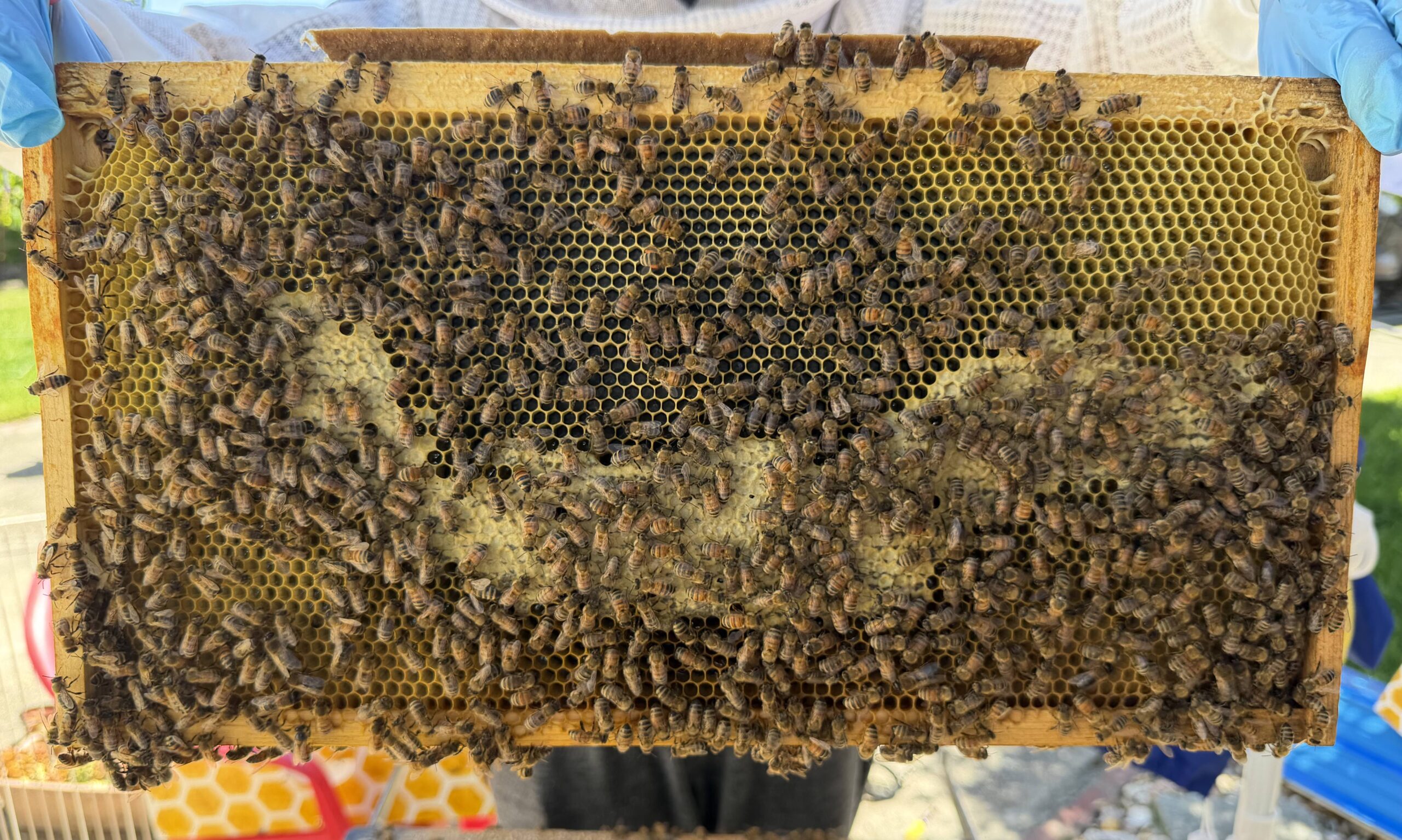 Frame 8 side A