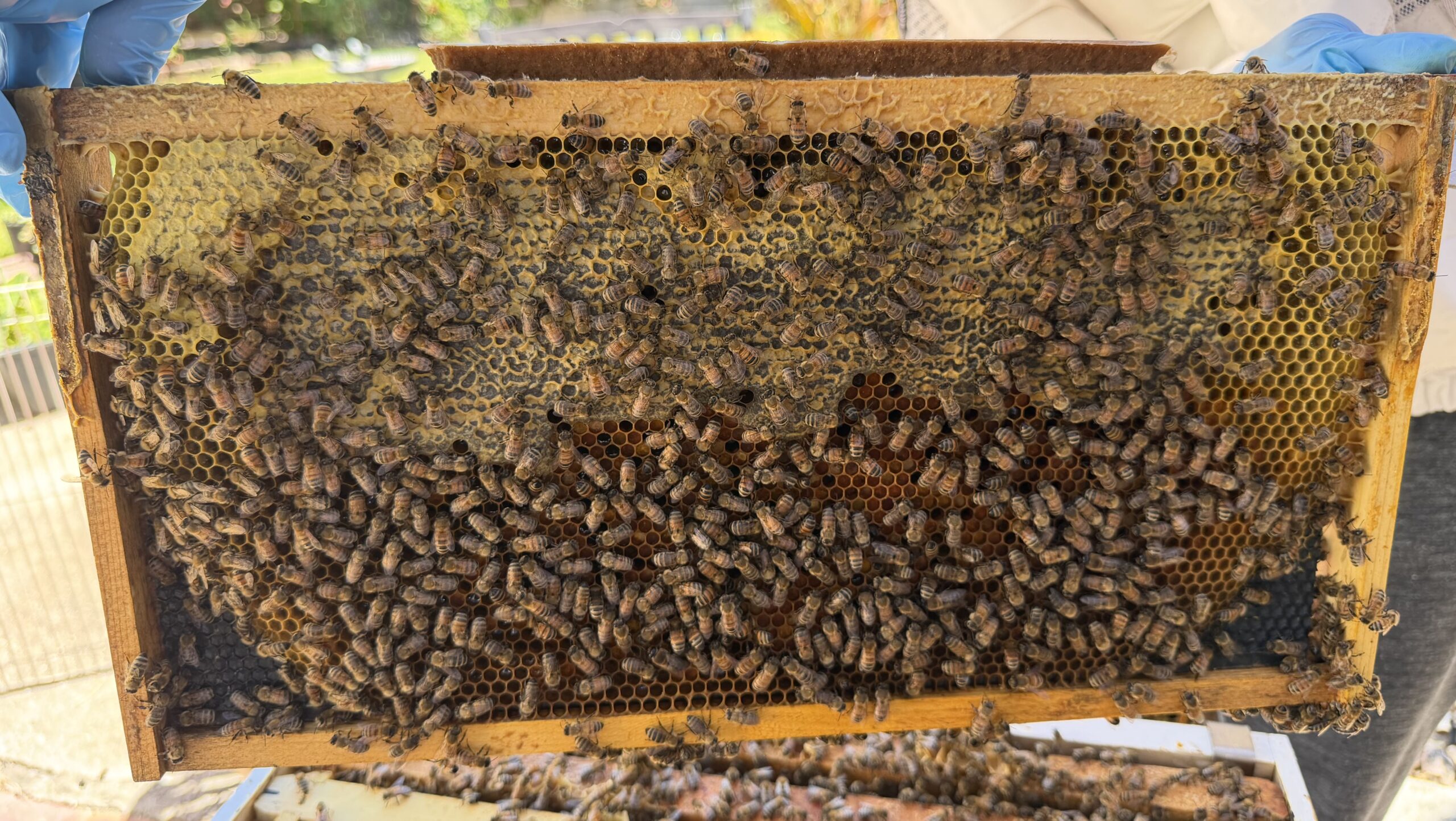 Frame 8 side B