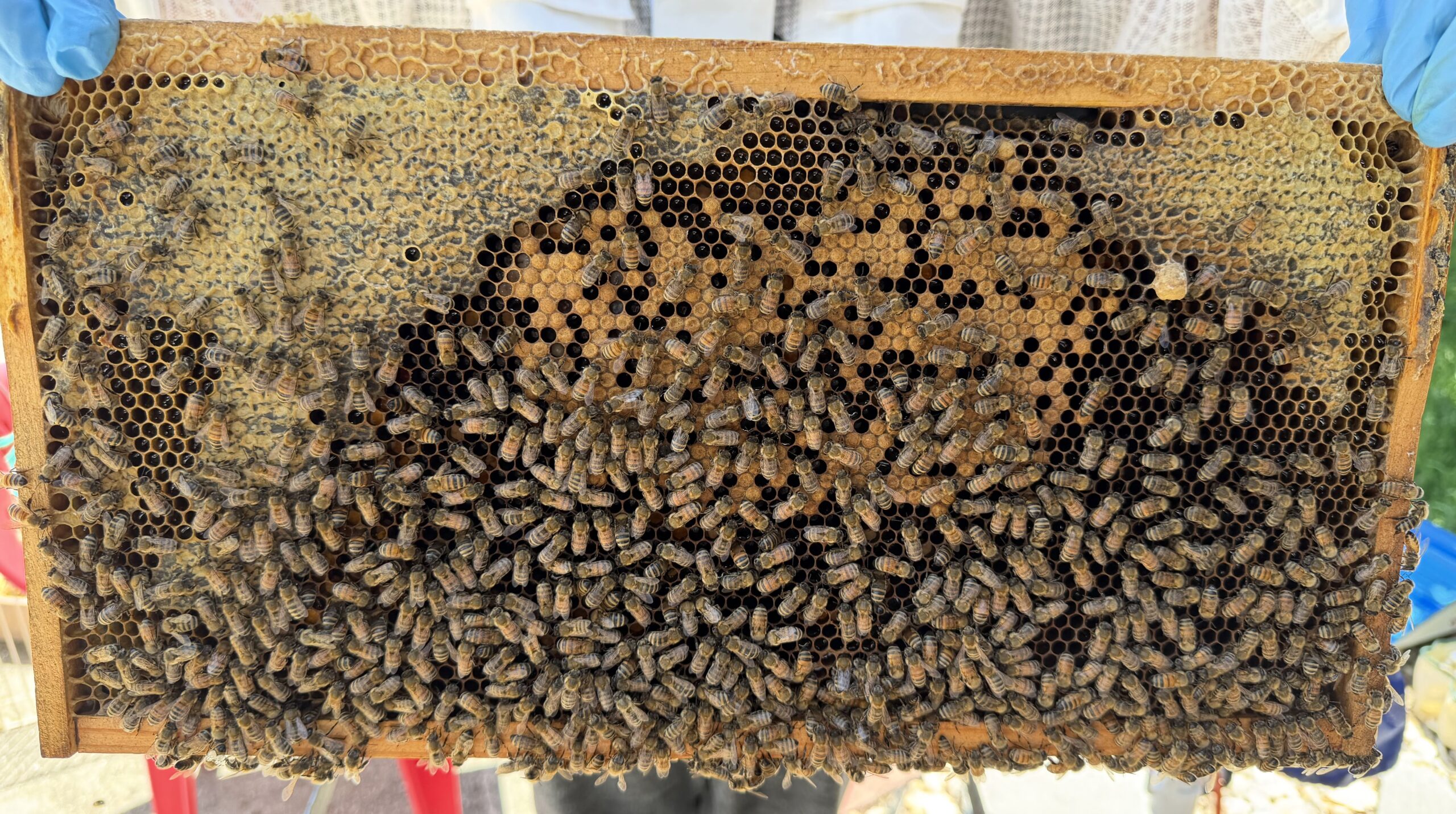Frame 1 side A