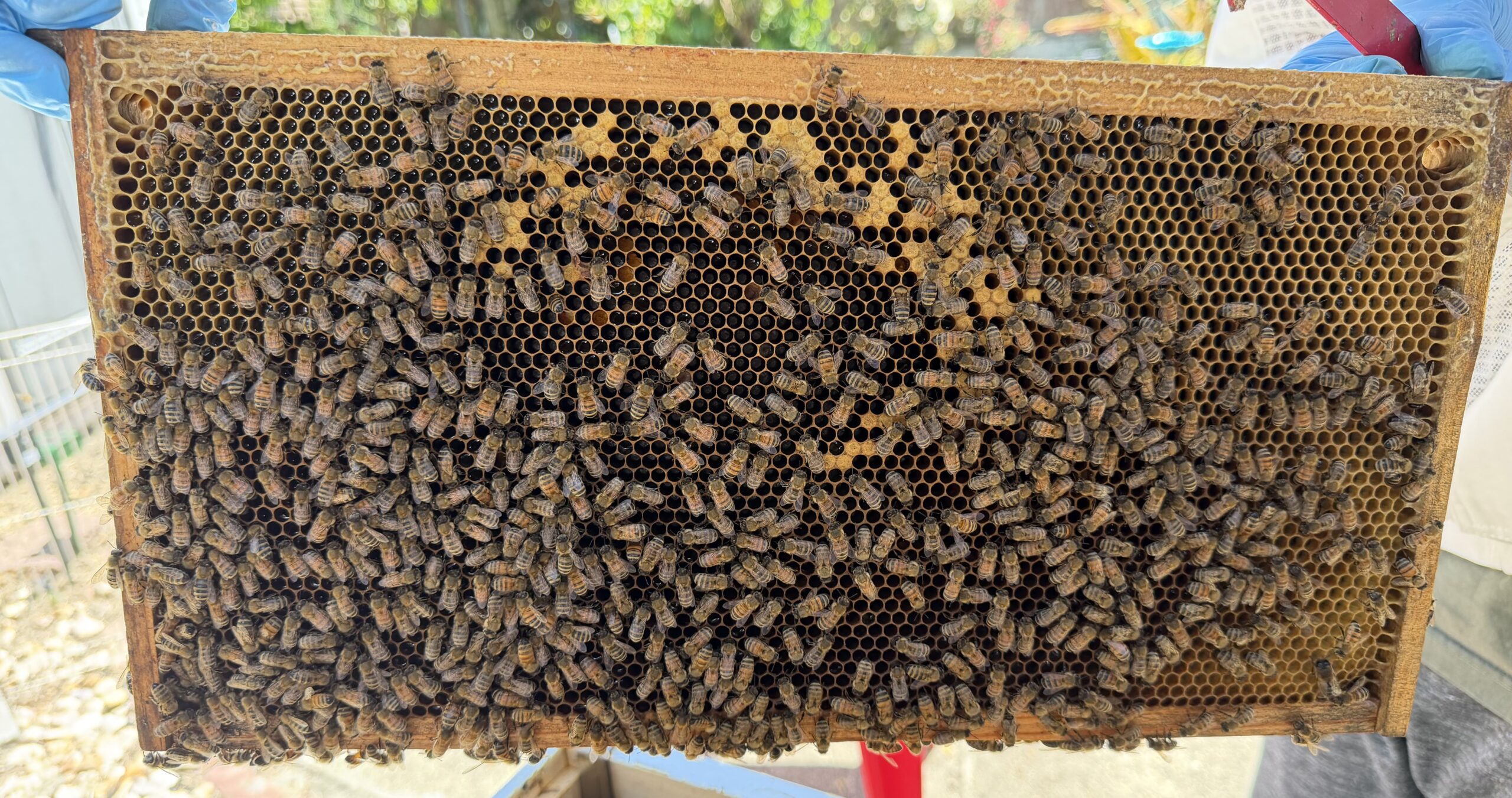 Frame 1 side B