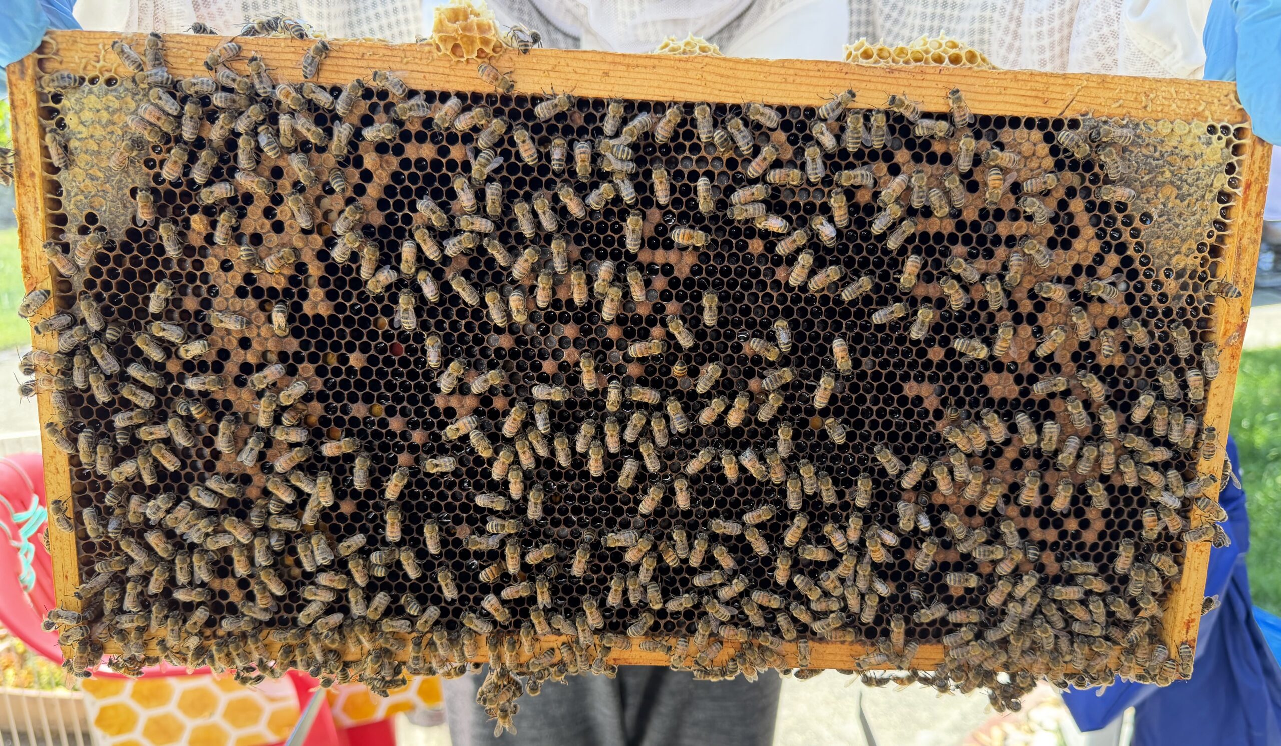 Frame 2 side A