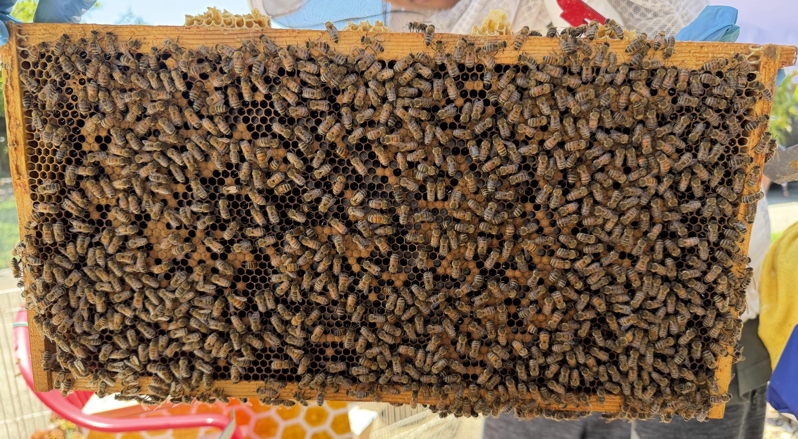Frame 2 side B