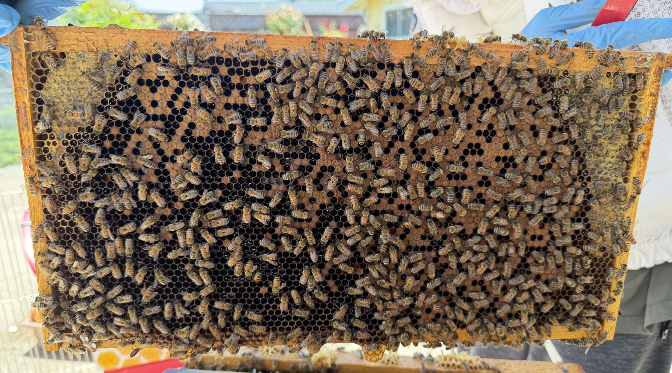 Frame 3 side B