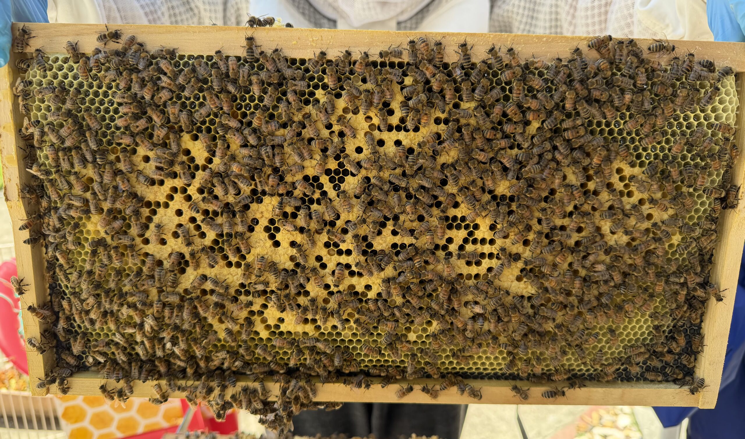 Frame 4 side A