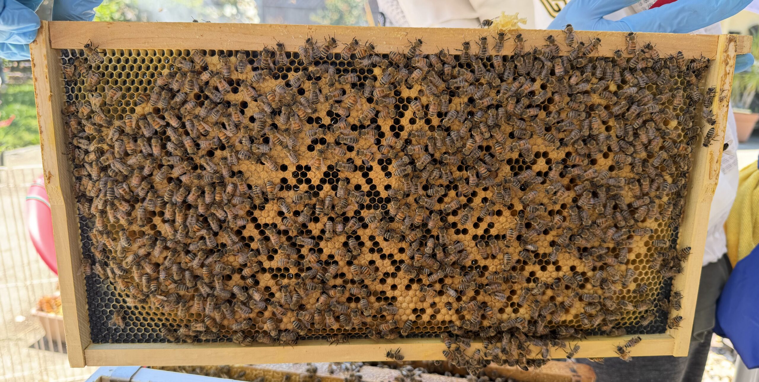 Frame 4 side B